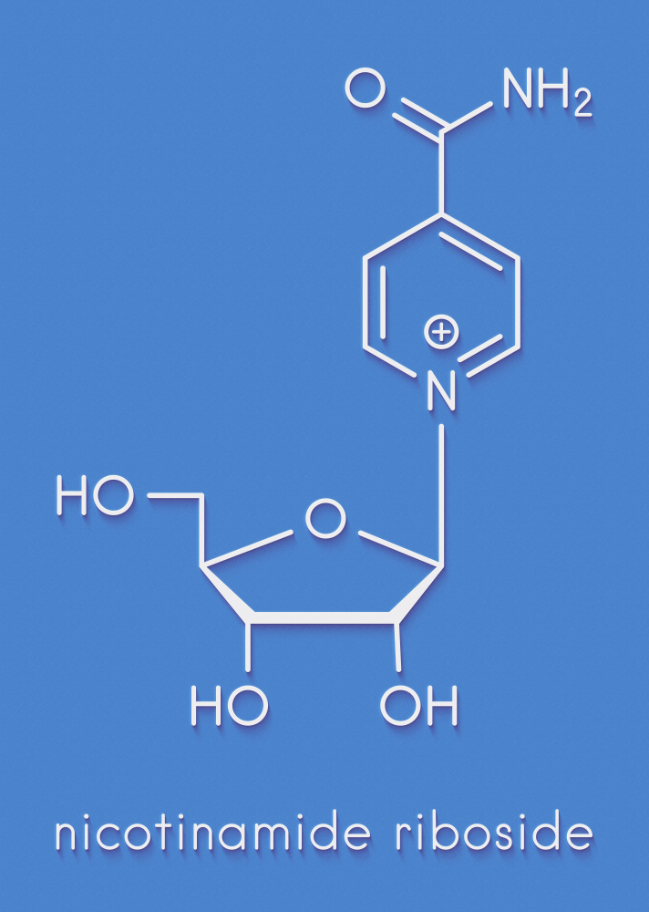 NADH (nicotinamide riboside) chemical formulation