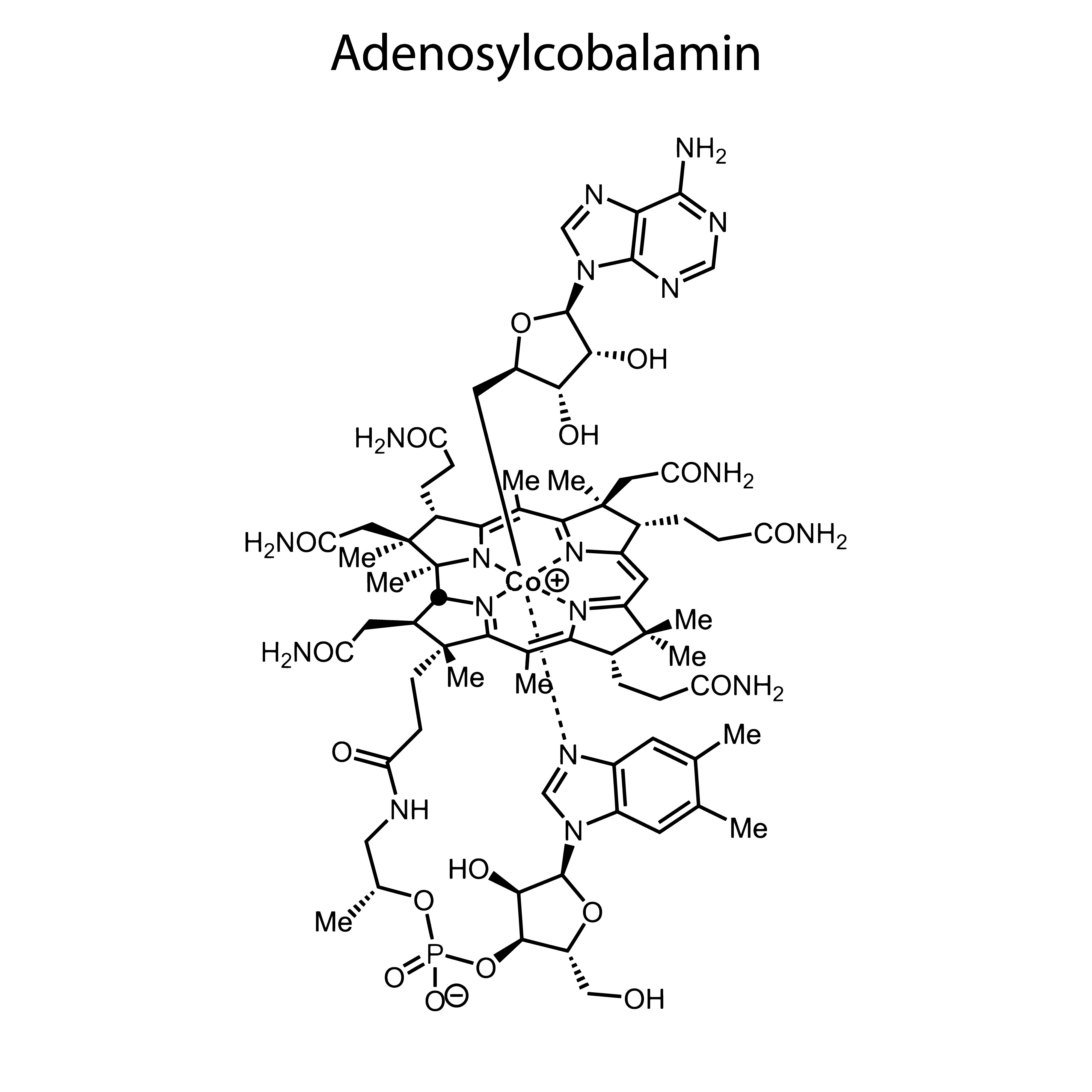 Adenosylcobalamin is the most energy-effective form of Vitamin B12. Your organism need the least energy to convert it to active form of Vitamin B12.