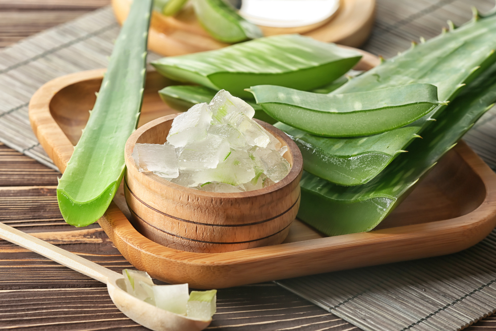 Aloe is oftenly used in dermatology due to its moisturizing properties