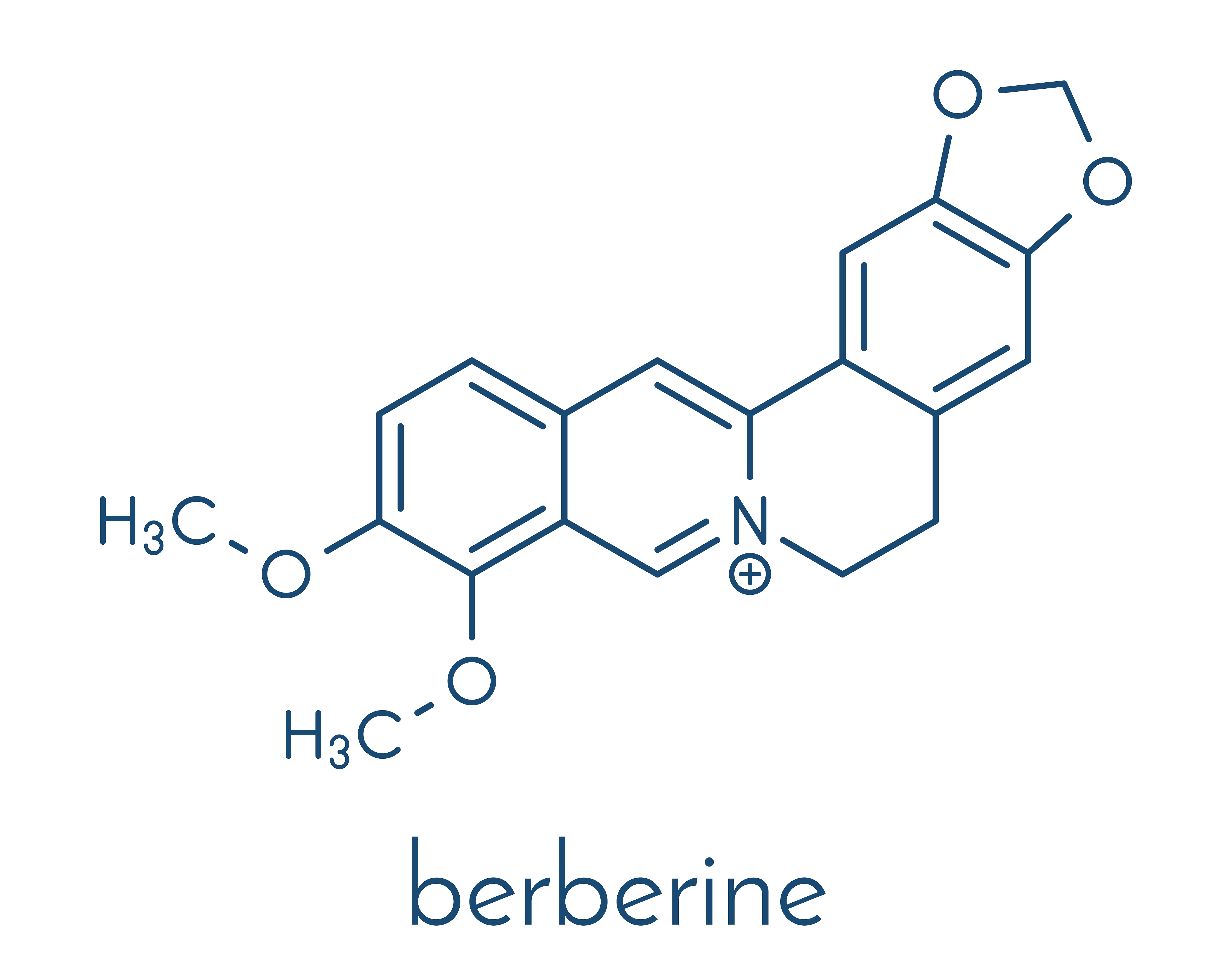 Chemical formula of berberine