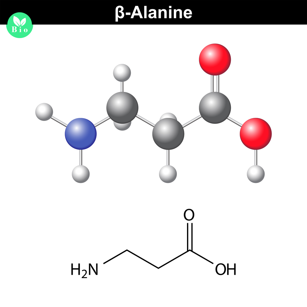 Beta Alanine is highly effective in improving your endurance.