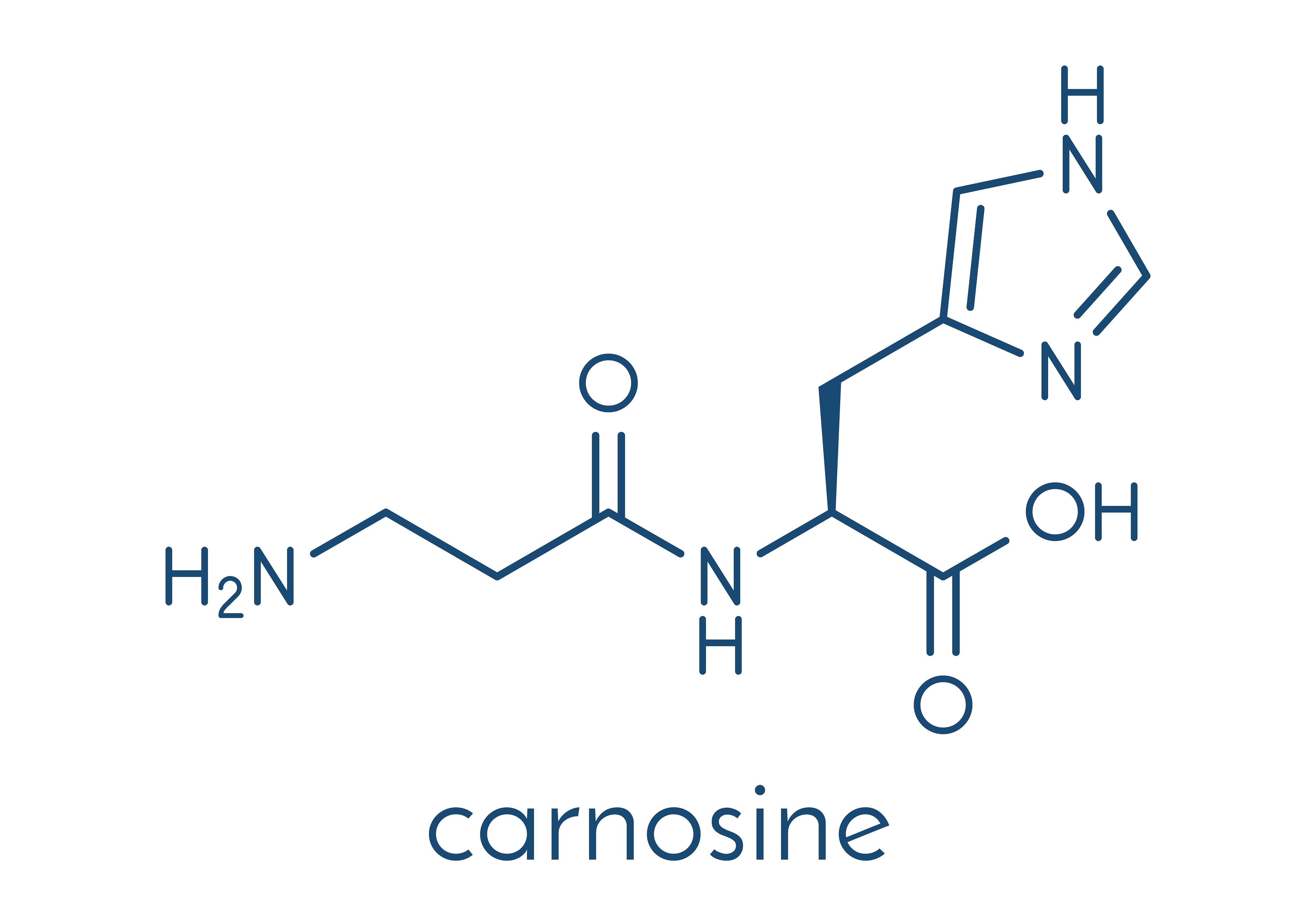 Carnosine is also a substance which supplementation would be helpful in improving endurance