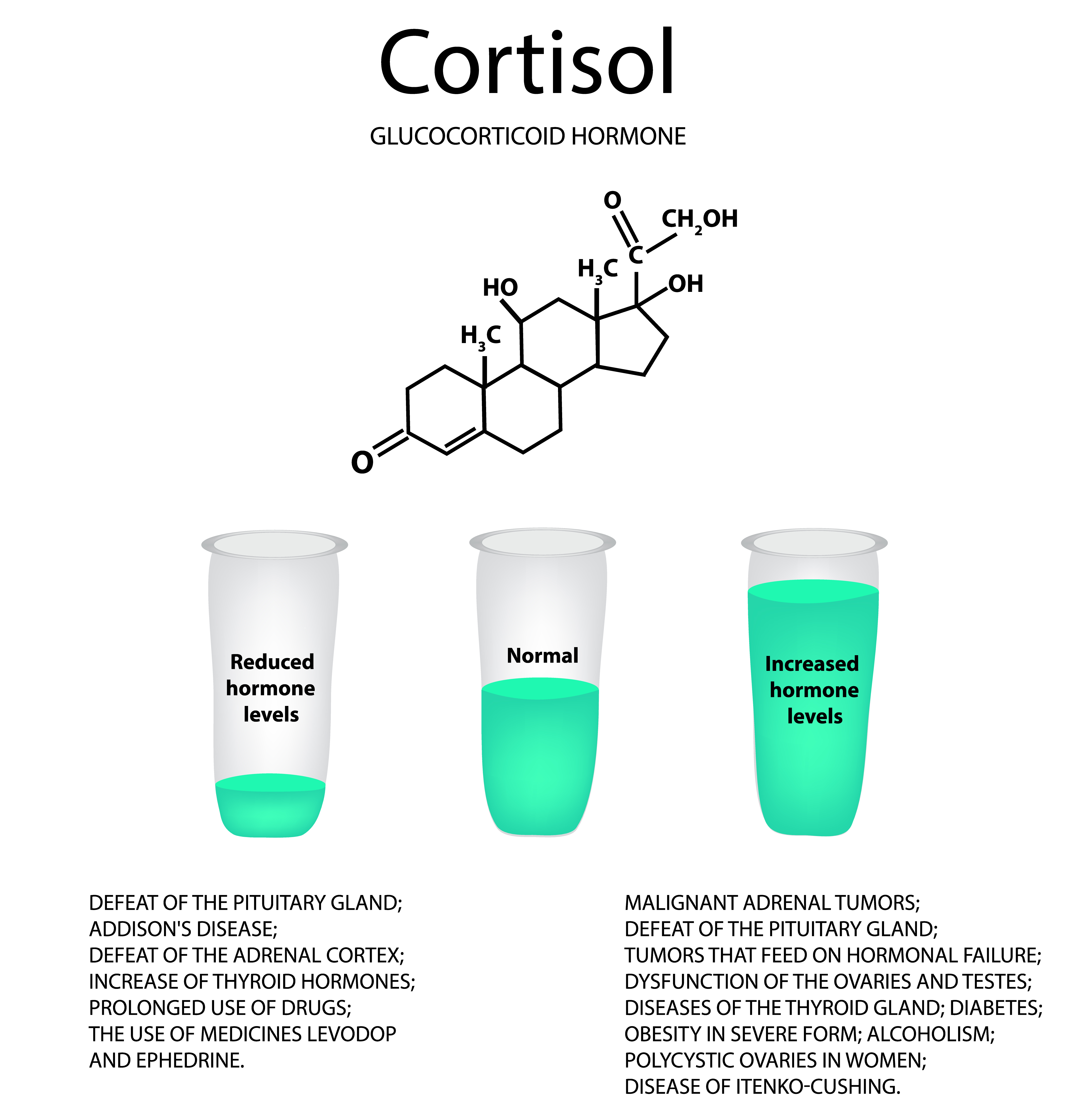 Too much cortisol and too little cortisol effects - infographic