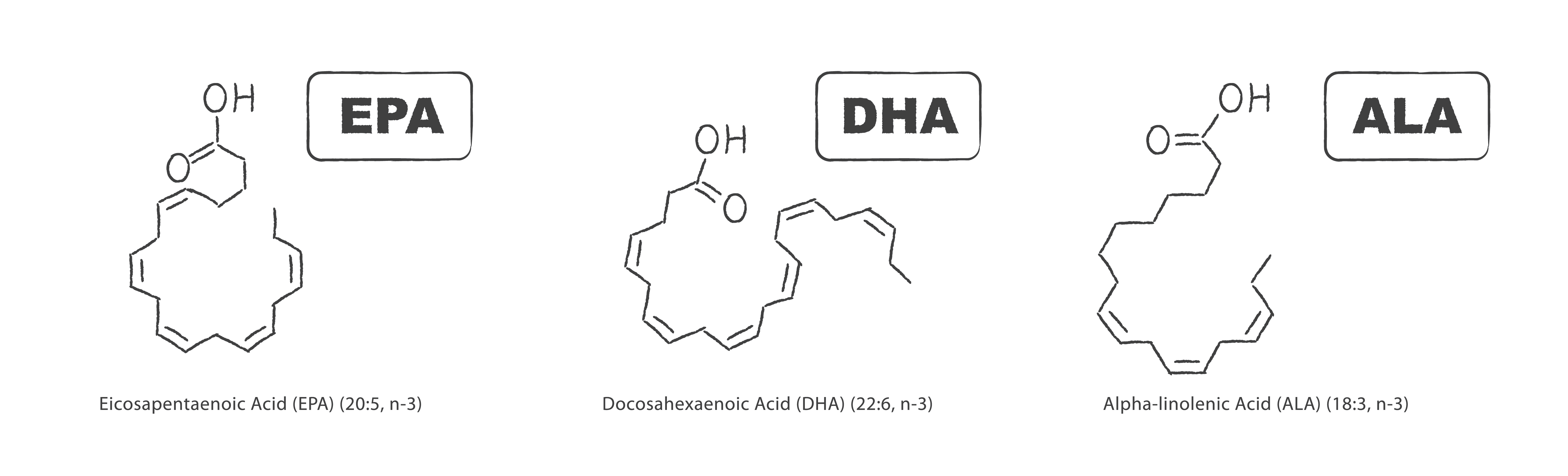 Set of three most important healthy fatty acids - EPA, DHA and ALA