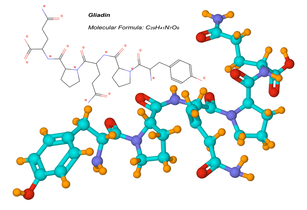 Gluten is a protein made of gliadin and glutelins, which we can find mainly in wheat, barley and rye