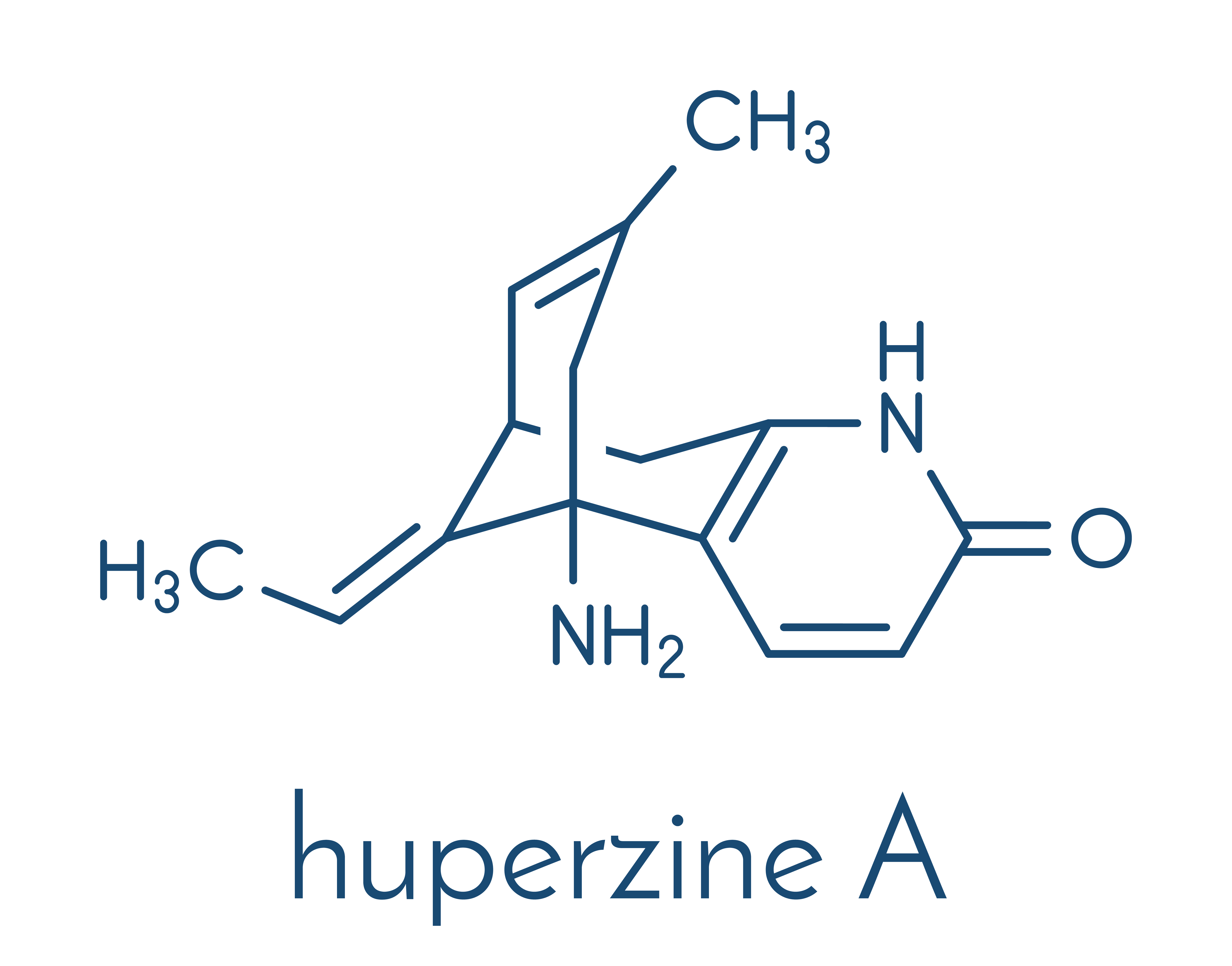 Huperzine A chemical formulation - effective addition to every used nootropic