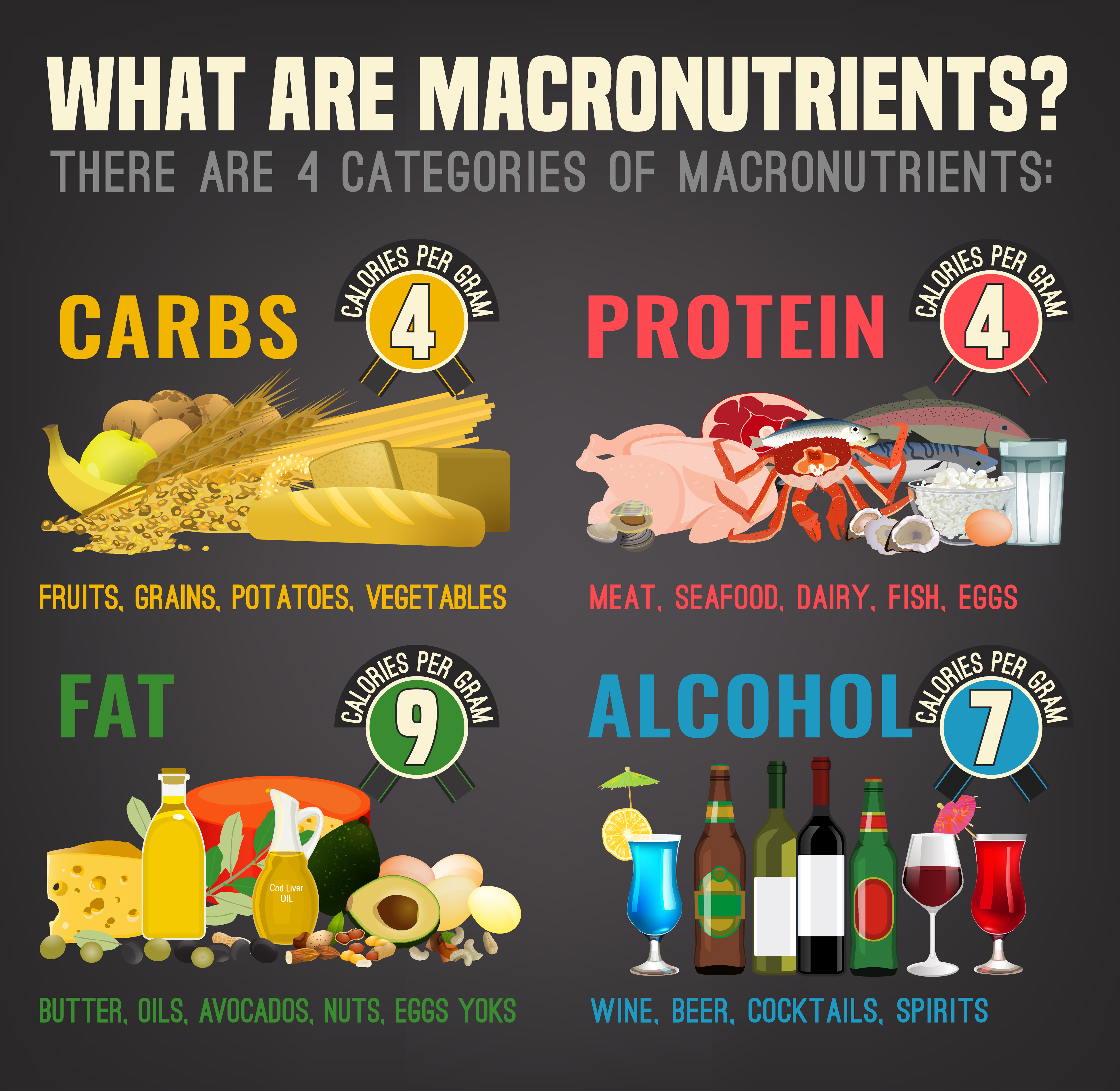 4 basic groups of macronutrients - Carbohydrates, protein, fats and alcohol