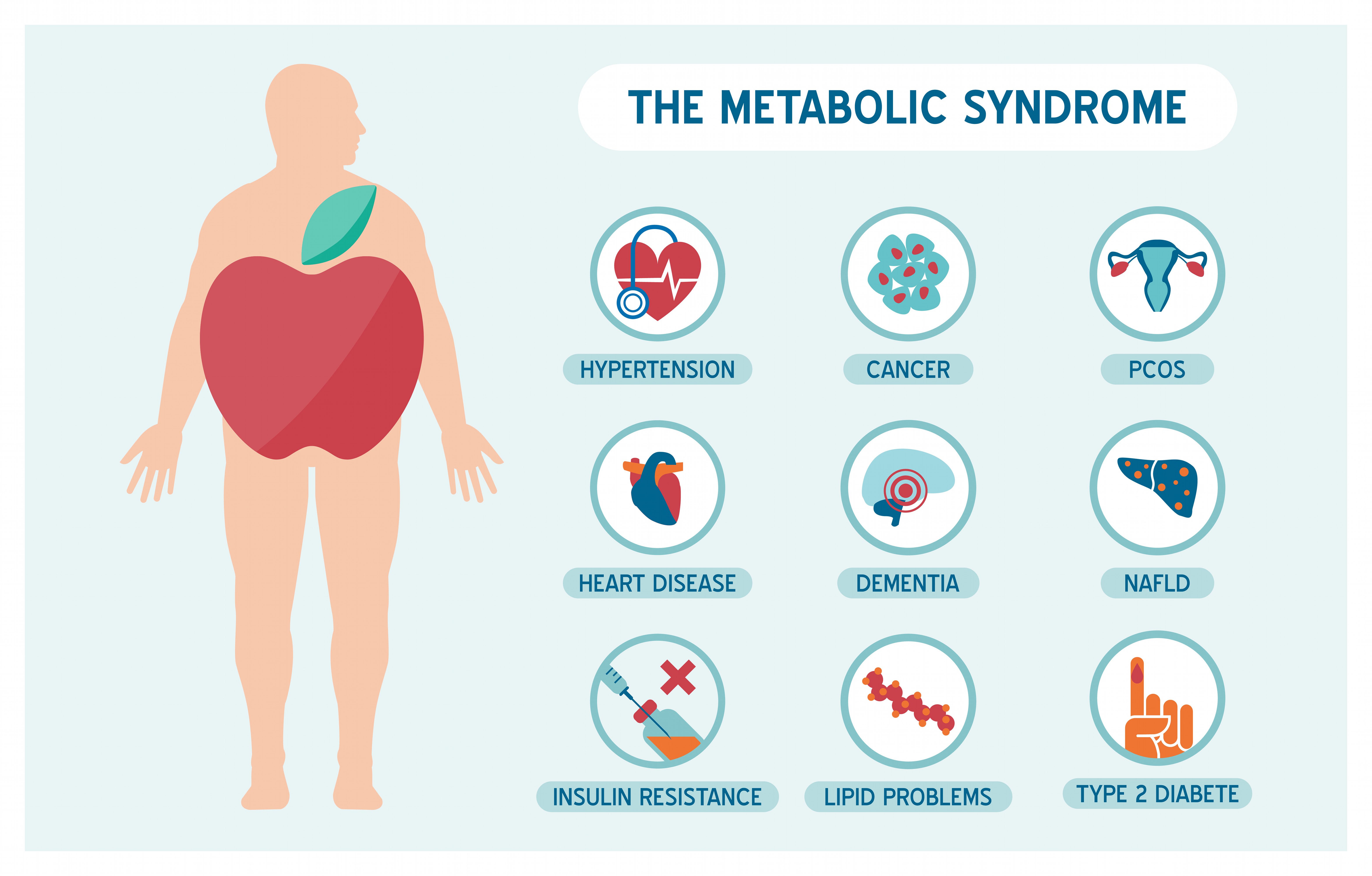 Metabolic Syndrome basic information - infographic