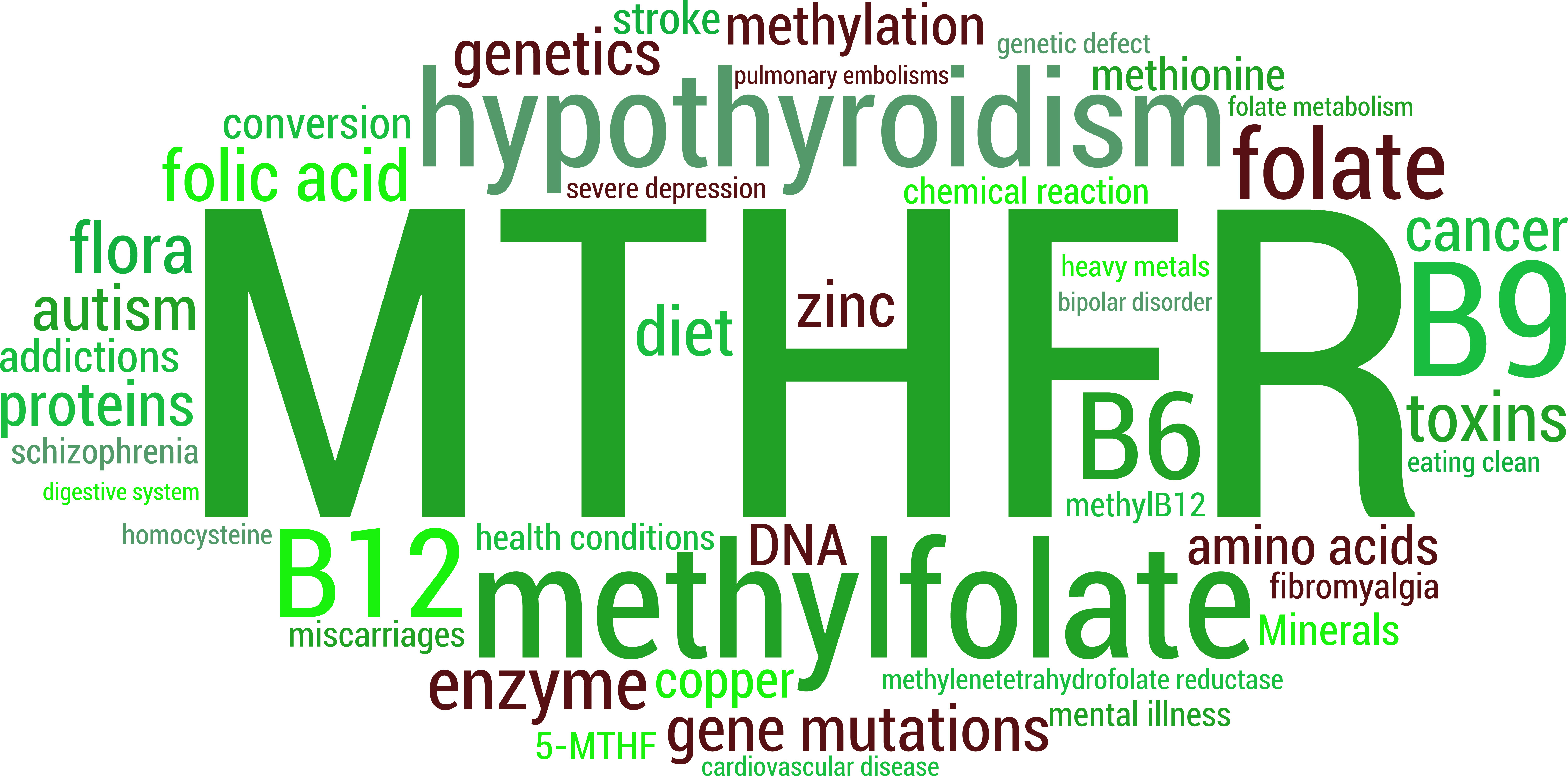 Excessive Homocysteine level can be a symptom of MTHFR mutation. Did you check if you have one? Even 50% of population can have this mutation!
