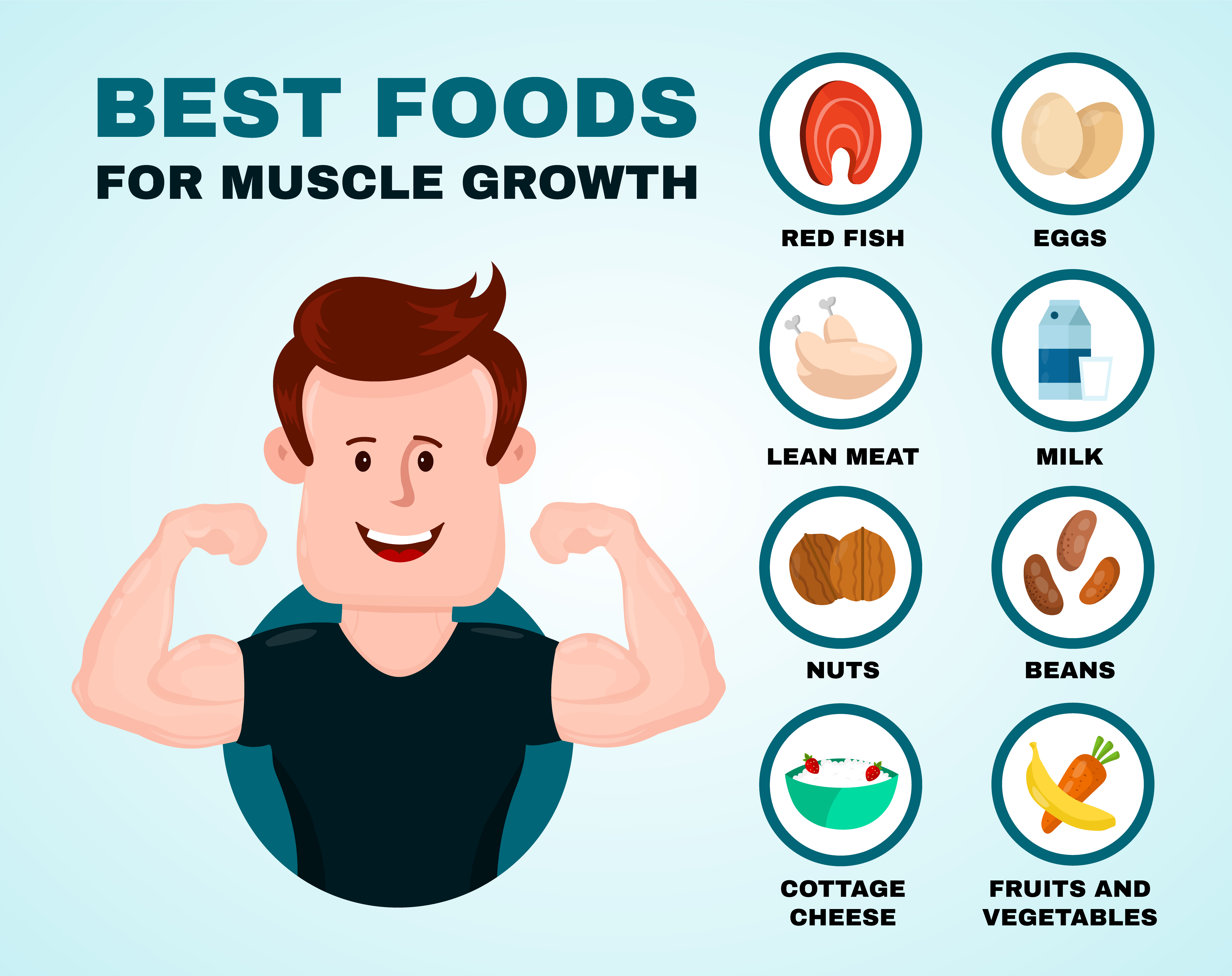 What to eat, to gain muscles optimally?