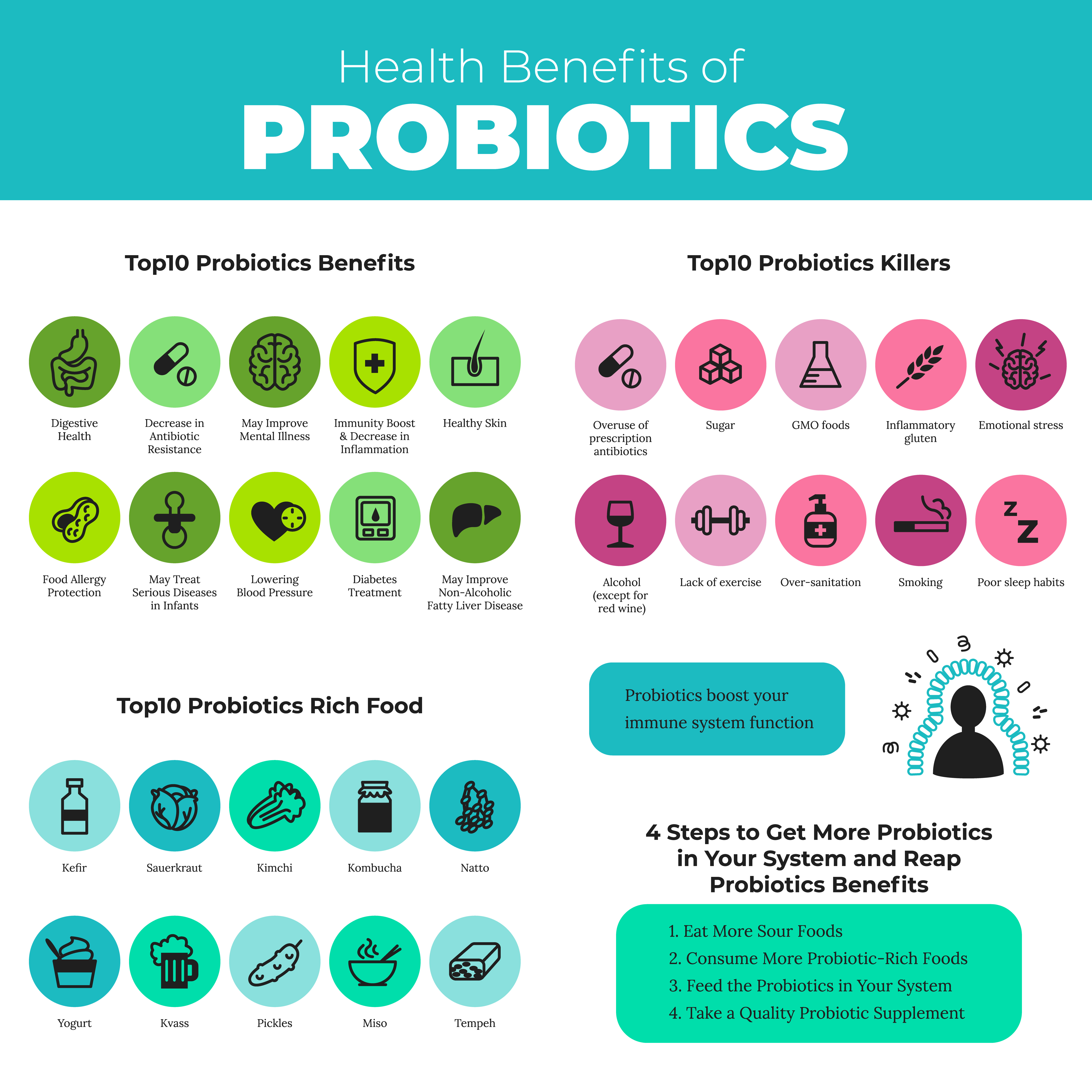 Probiotics - basic information - infographic