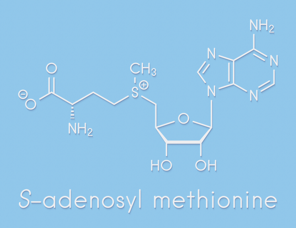 SAMe chemical formula