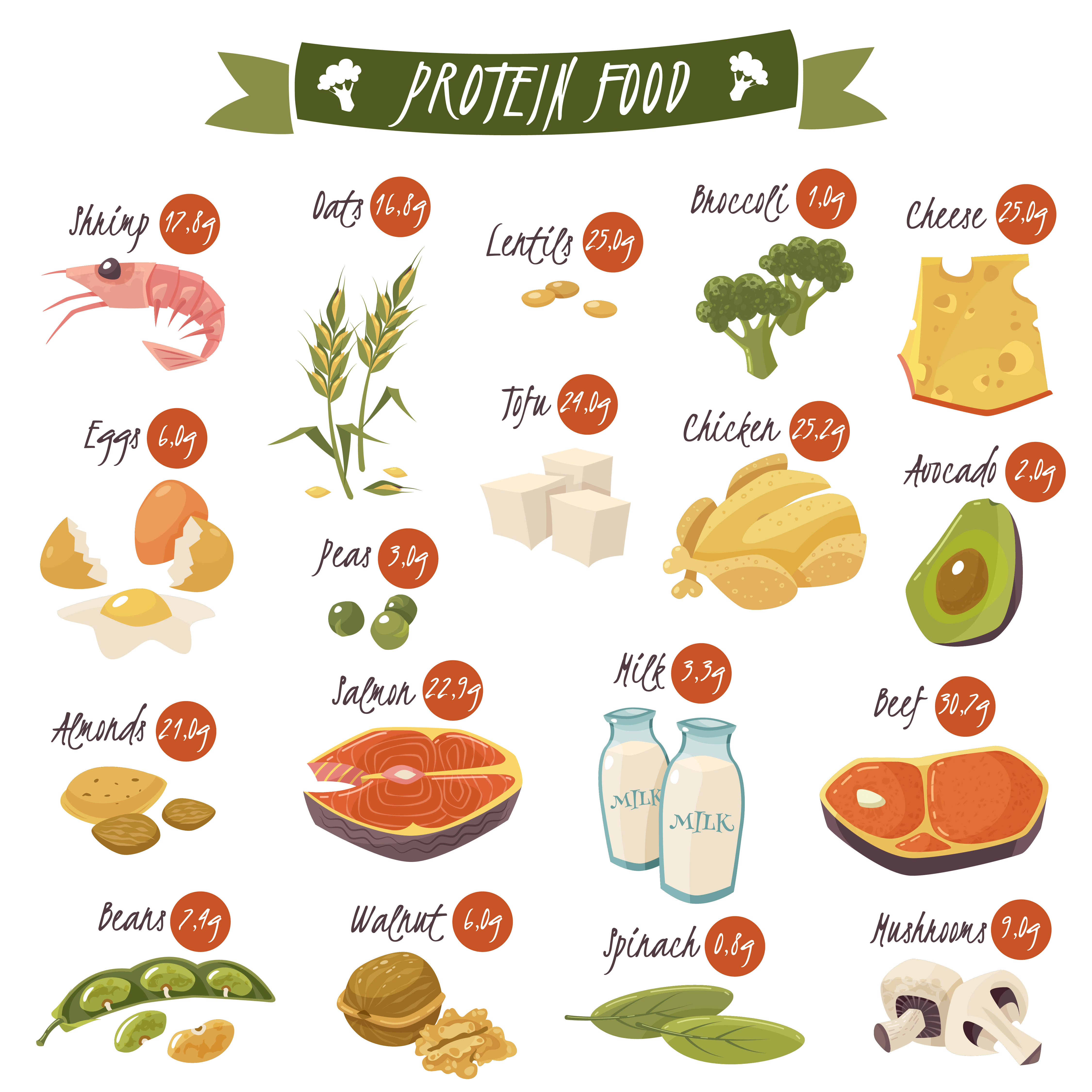 In which food we can find the most proteins?