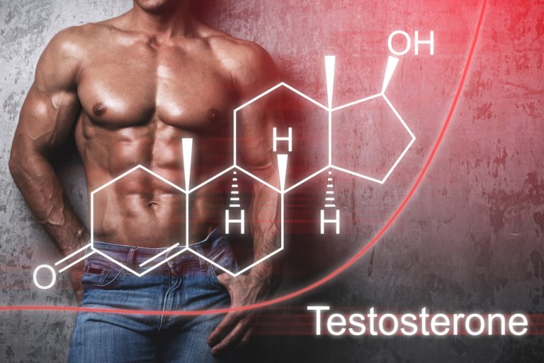 Optimal testosterone level is the most crucial thing in building muscle mass