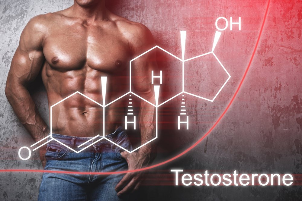 You have to increase your testosterone level, to improve your training results and your figure!