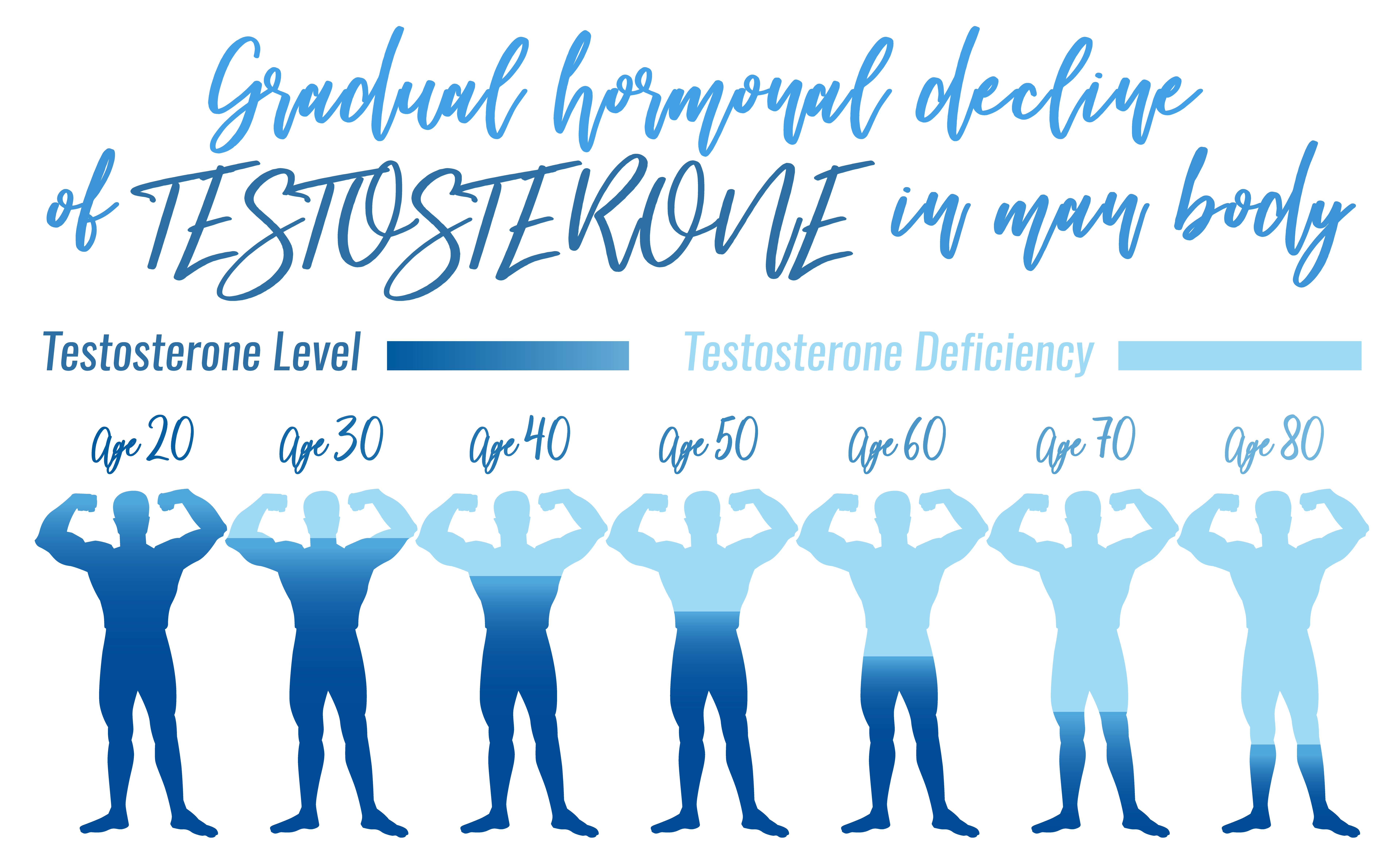 How testosterone level change with age