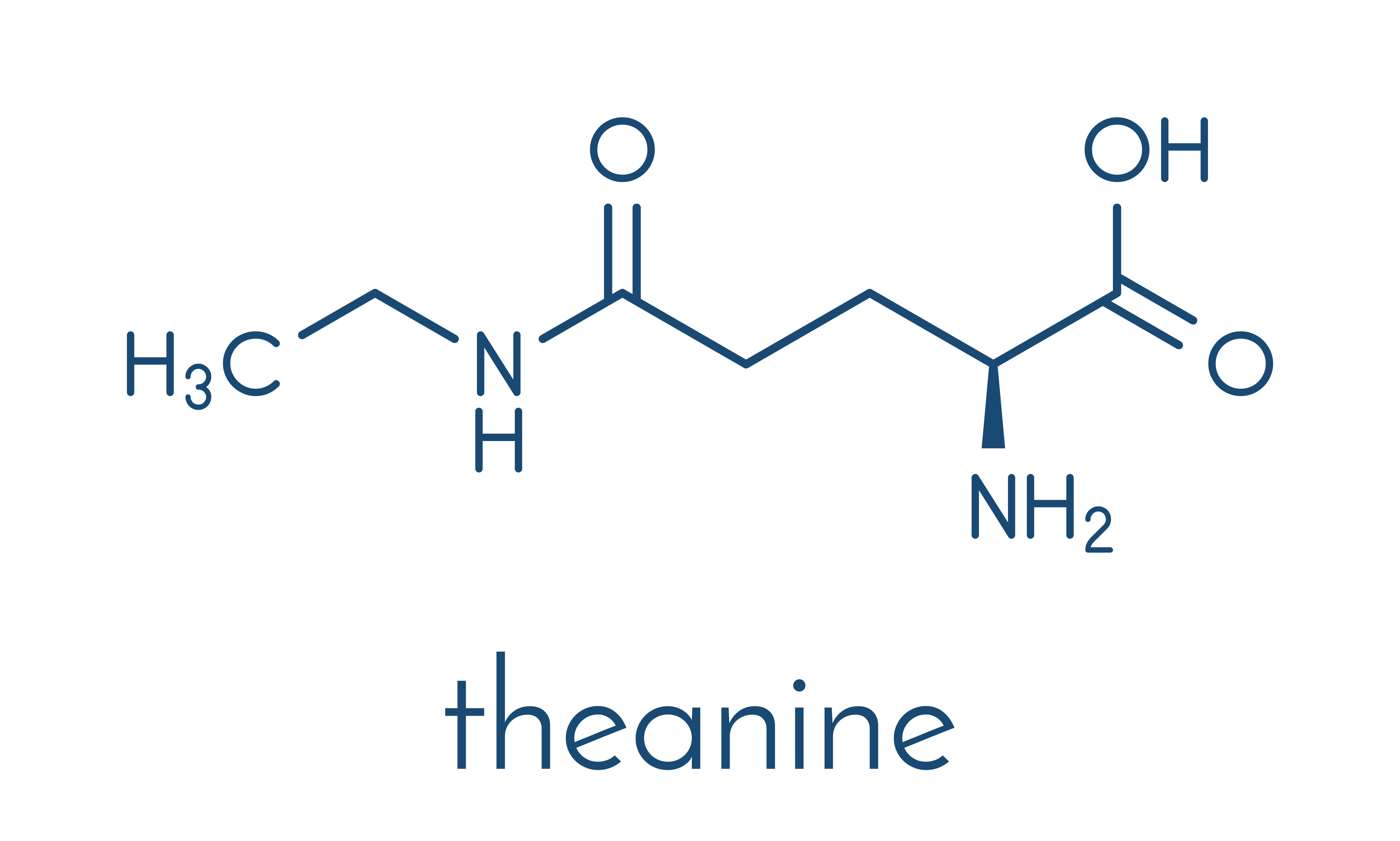 Theanine - chemical formula