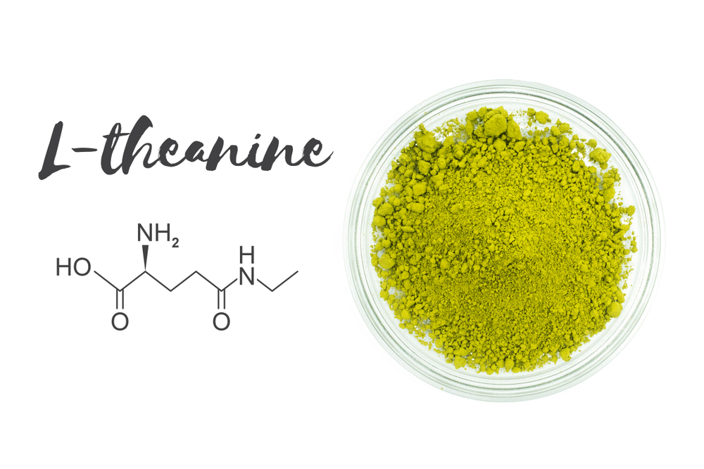 You may ask how does L-Theanine actually look like? Well, it reminds green barley in terms of how it looks.