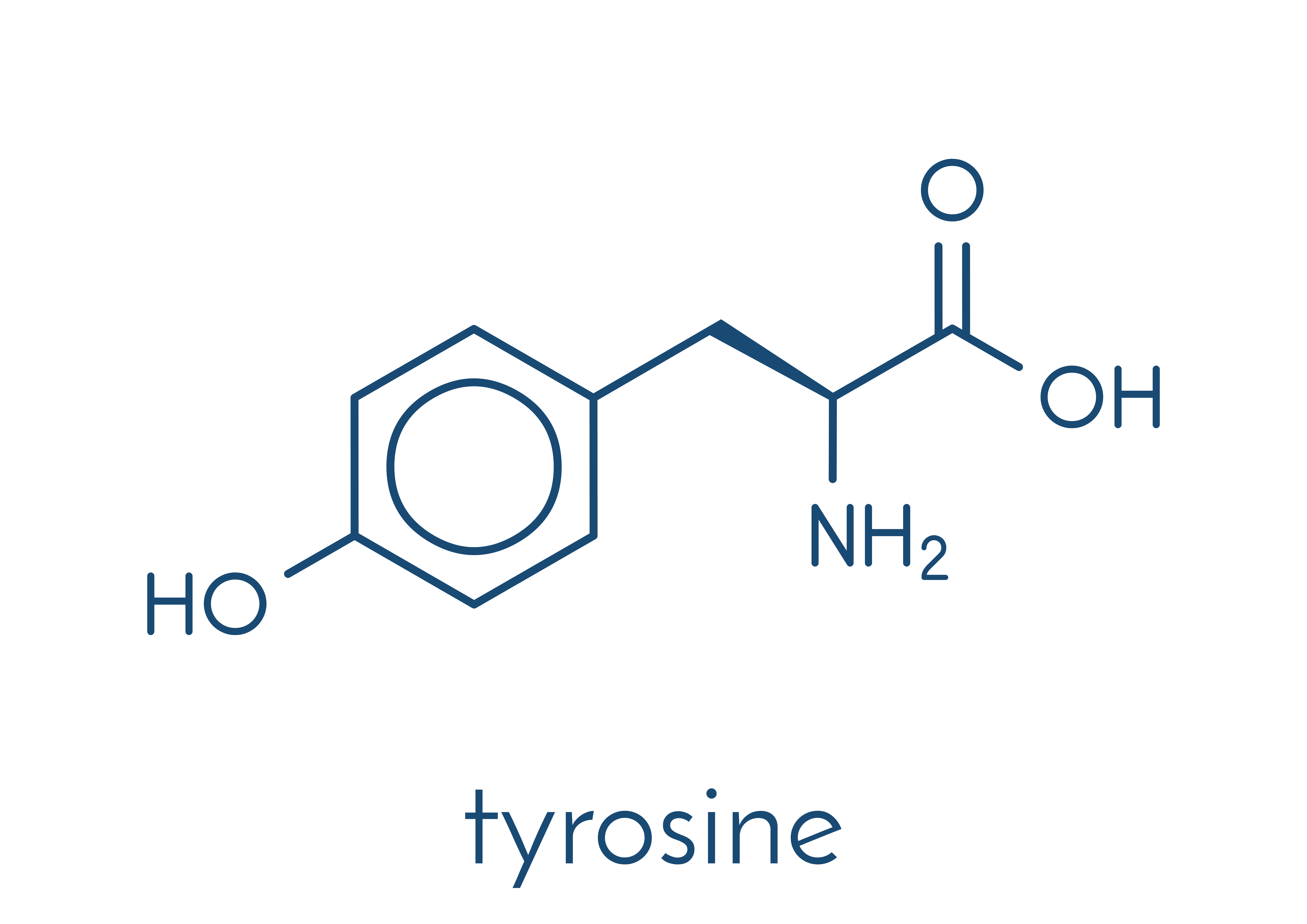 n acetil 1 tirozin fogyás)