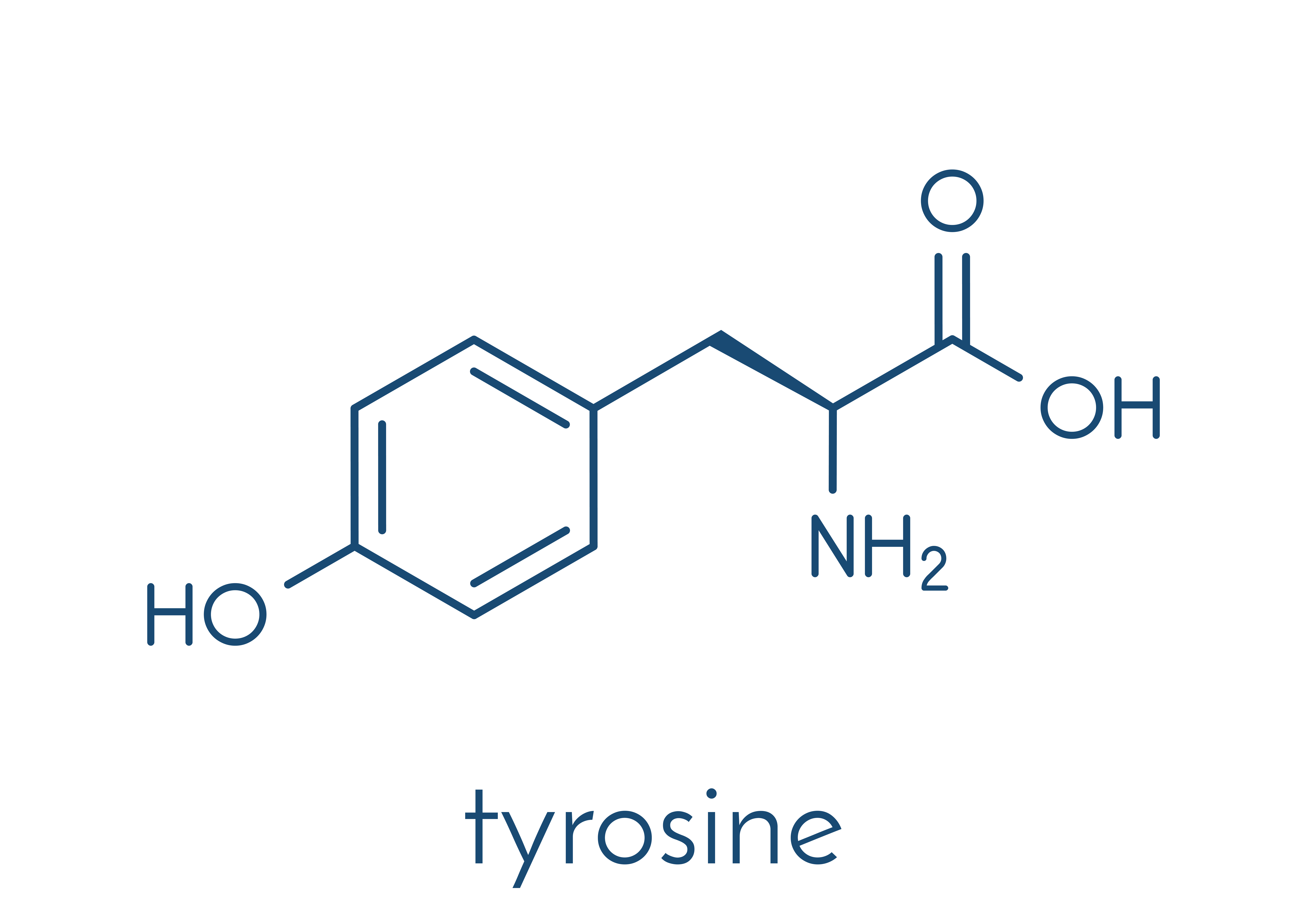 Tyrosine - amino acid improving your nervous system state