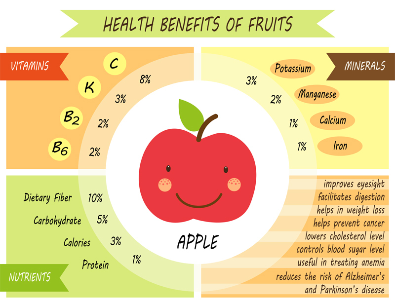 Apple composition. Why is it worth to eat apples?