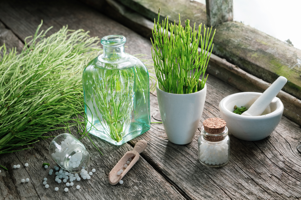 Horsetail - not only effective as diuretic, but also for improving your skin condition!