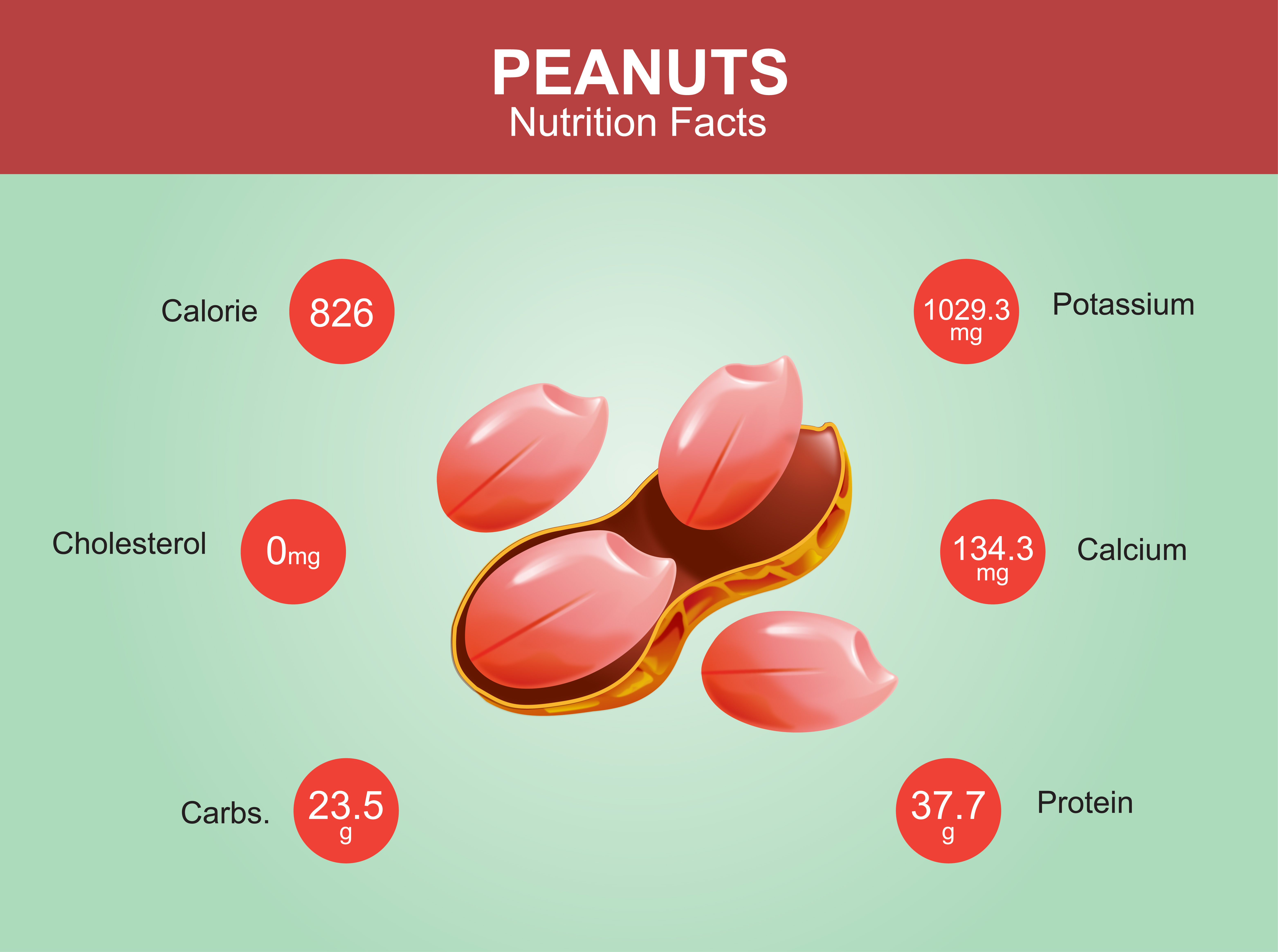 Peanut composition - infographic