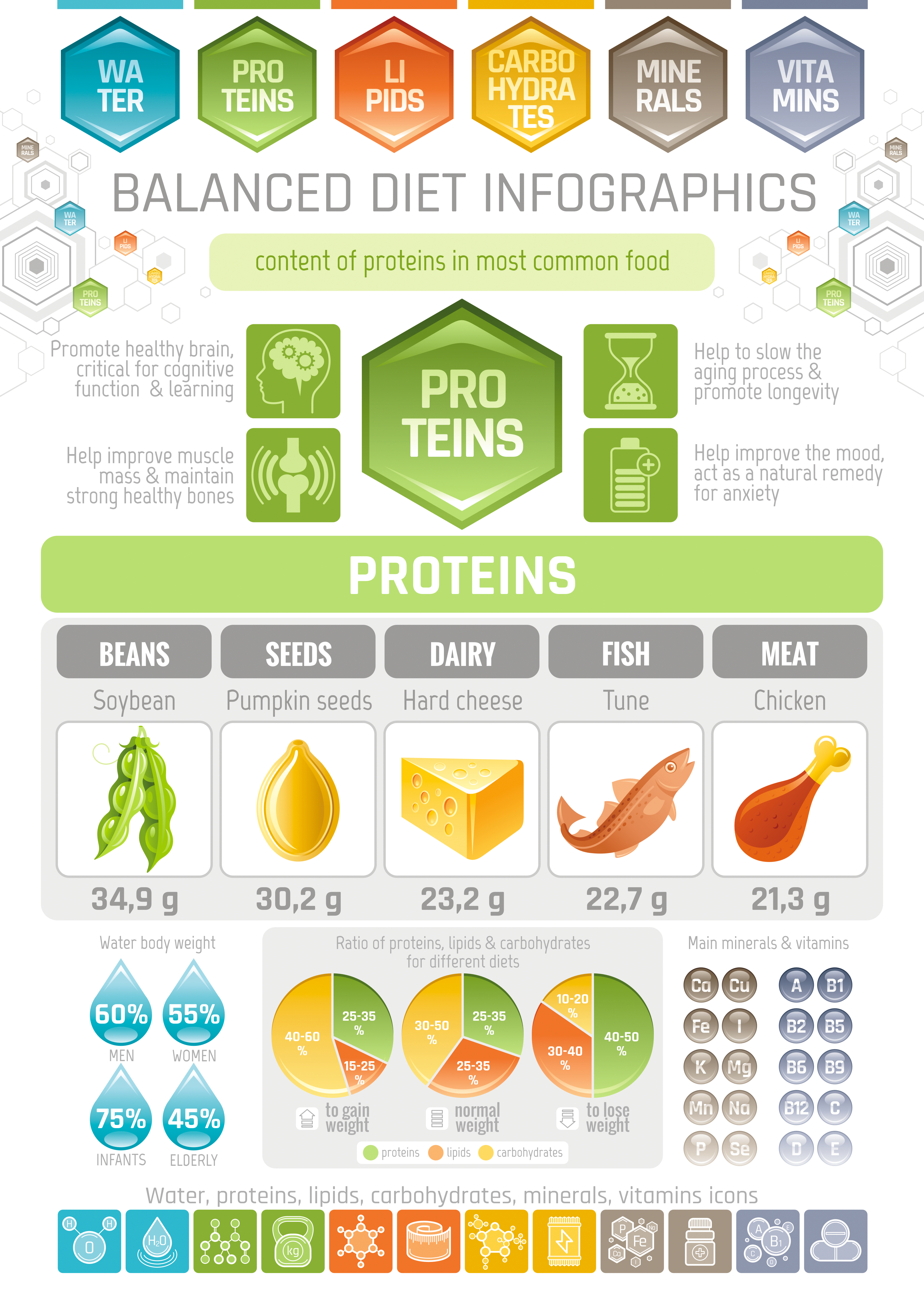 Proteins - benefits and sources - infographic