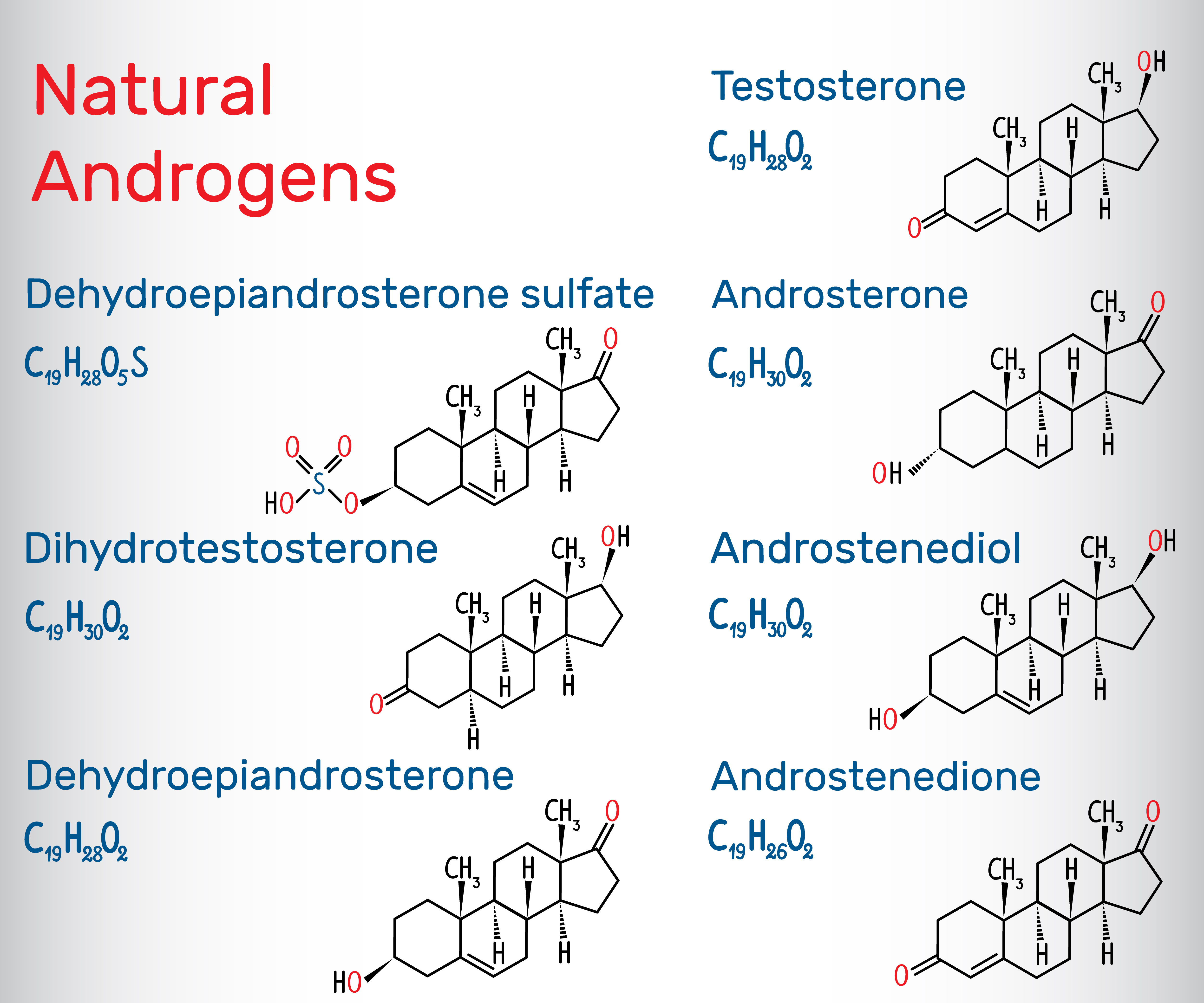What are other androgens than testosterone?