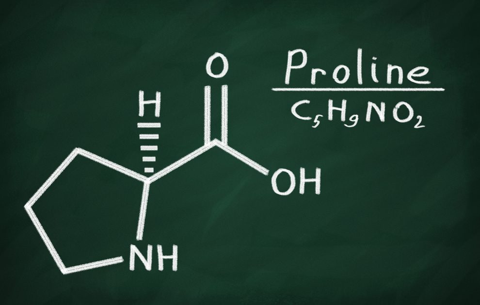 proline-another-valuable-amino-acid