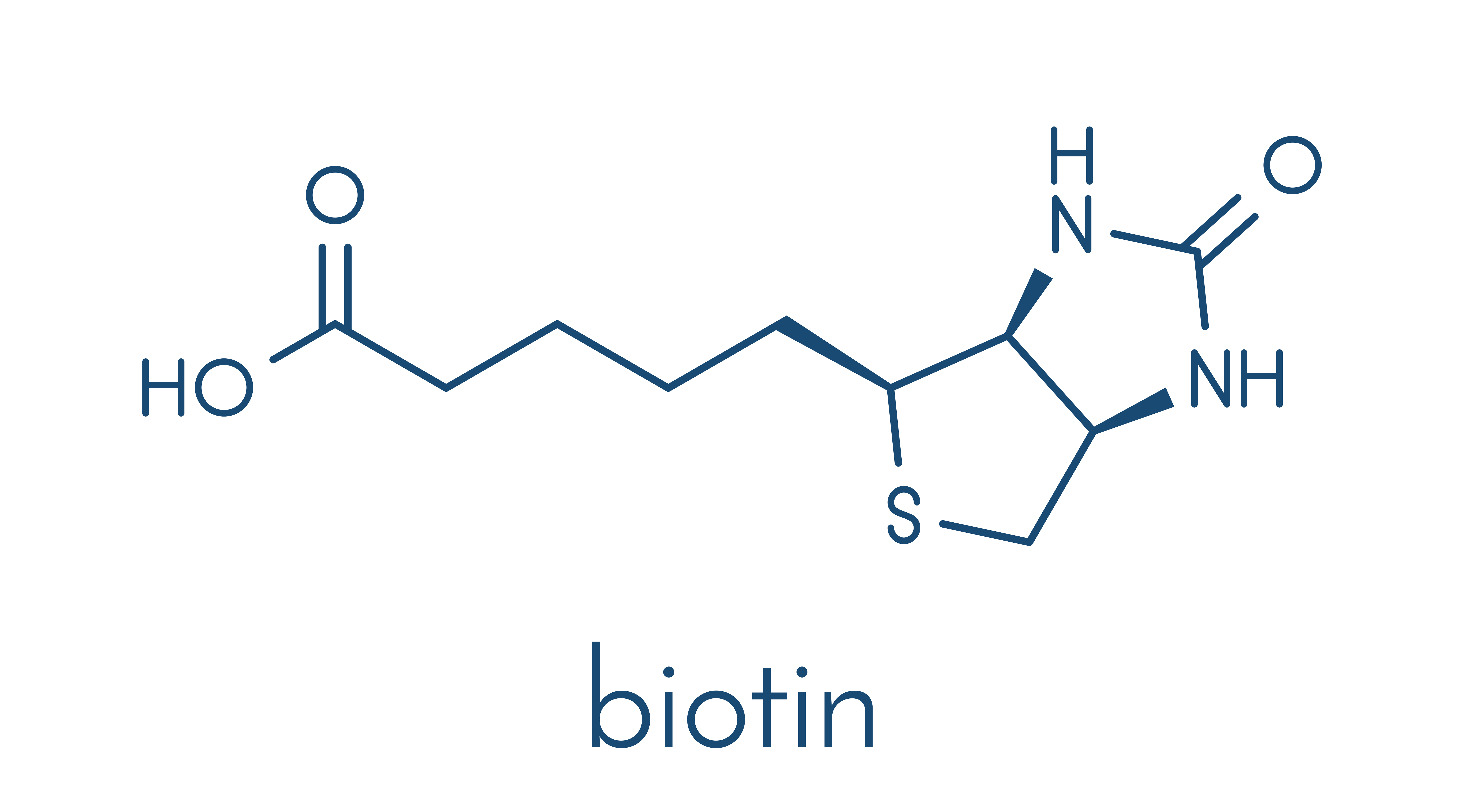 Biotin - chemical structure