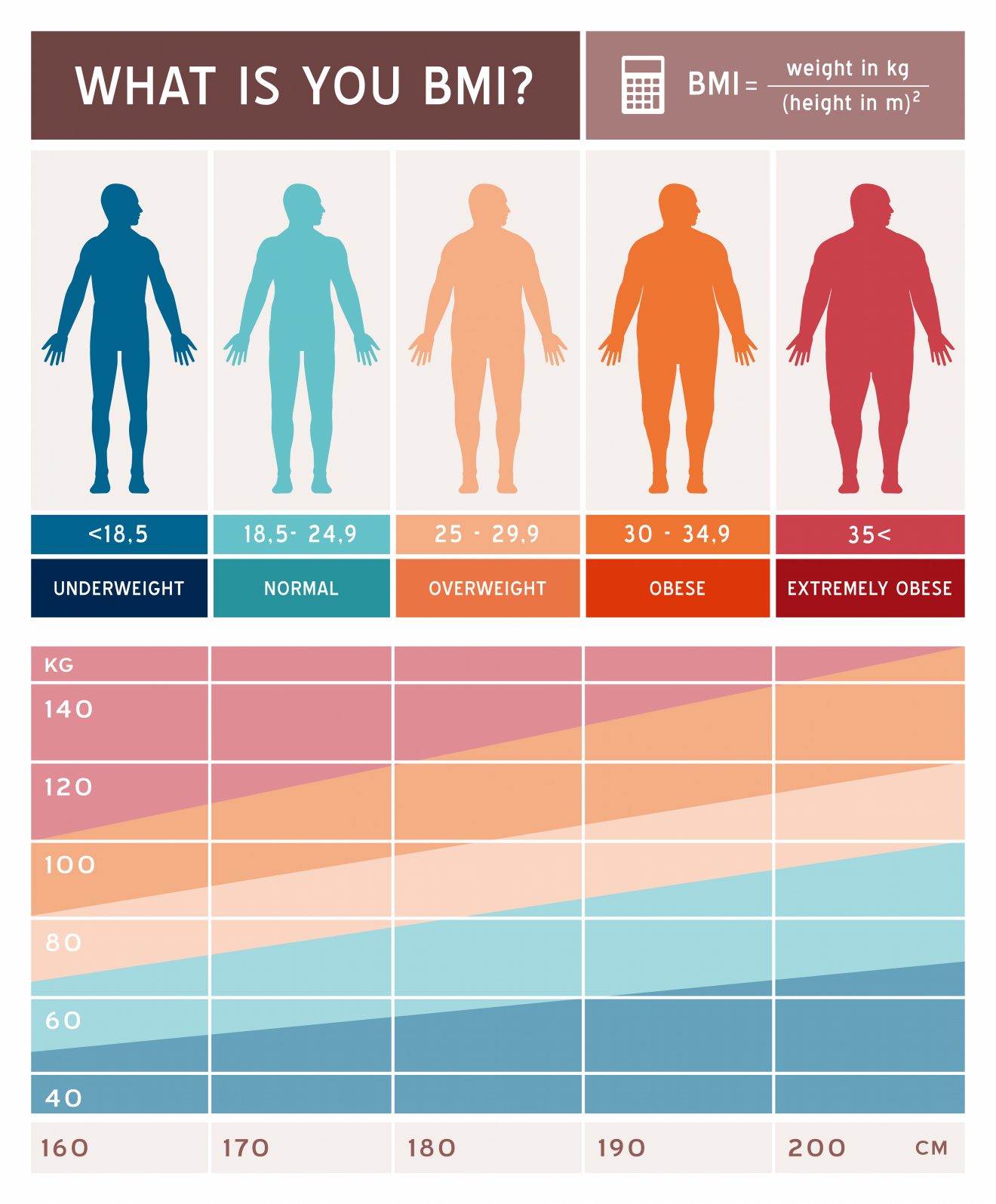 bmi research articles