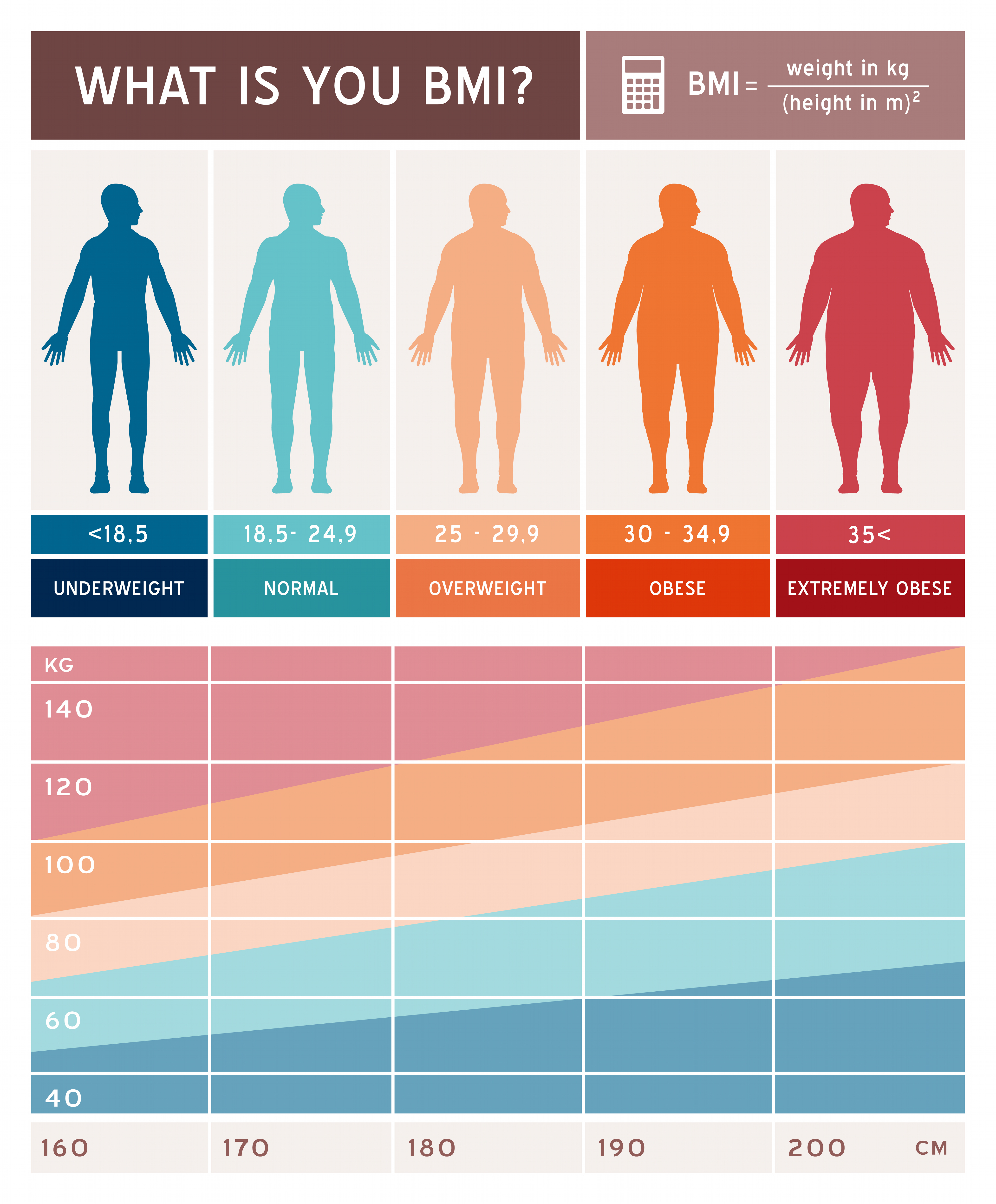 Chart of basic BMI ranges