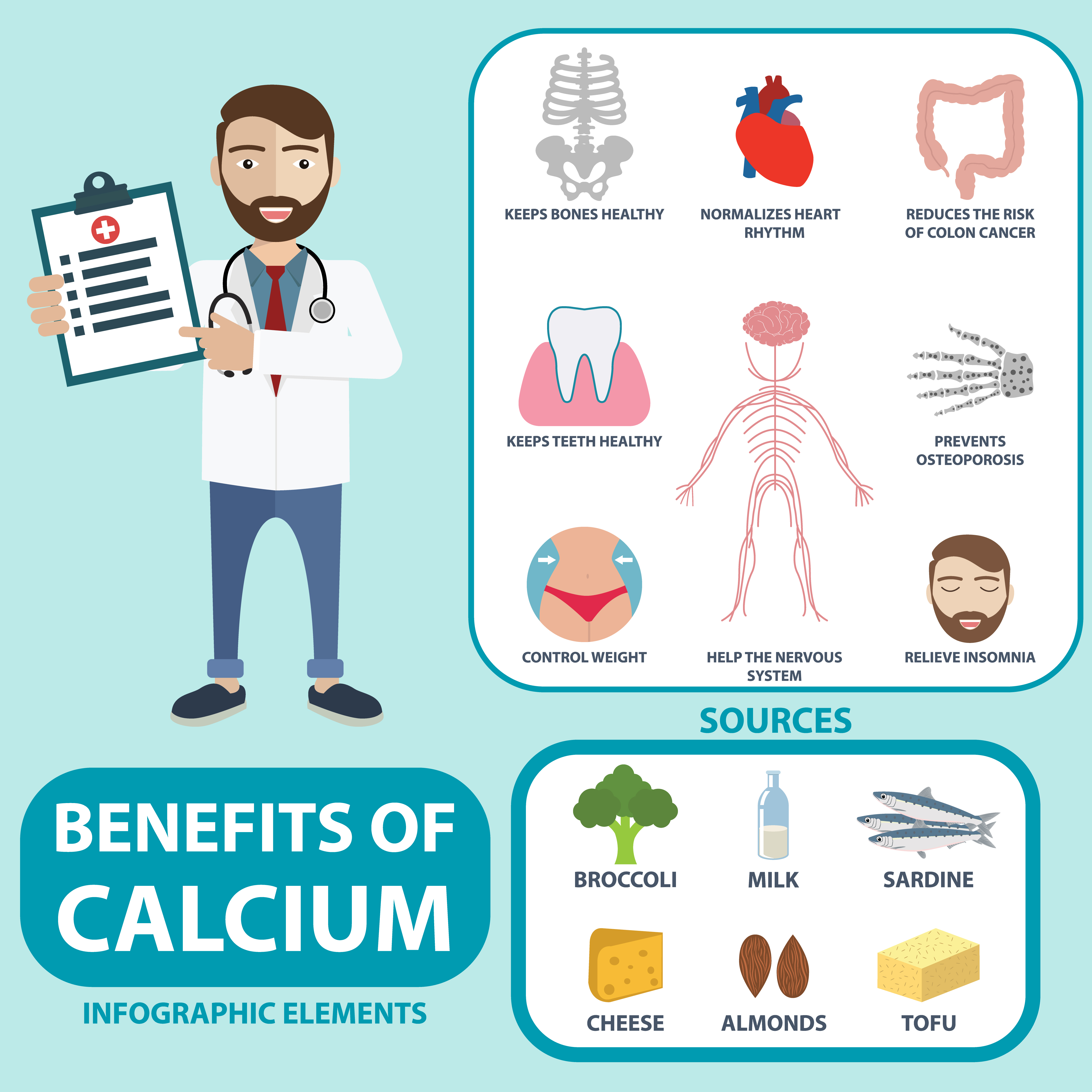 Most important benefits of calcium - infographic