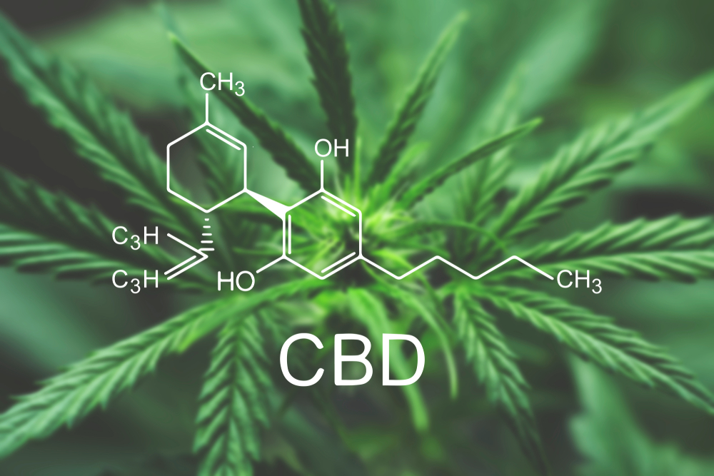 CBD is probably one of the most potent pro-health supplements at the moment!