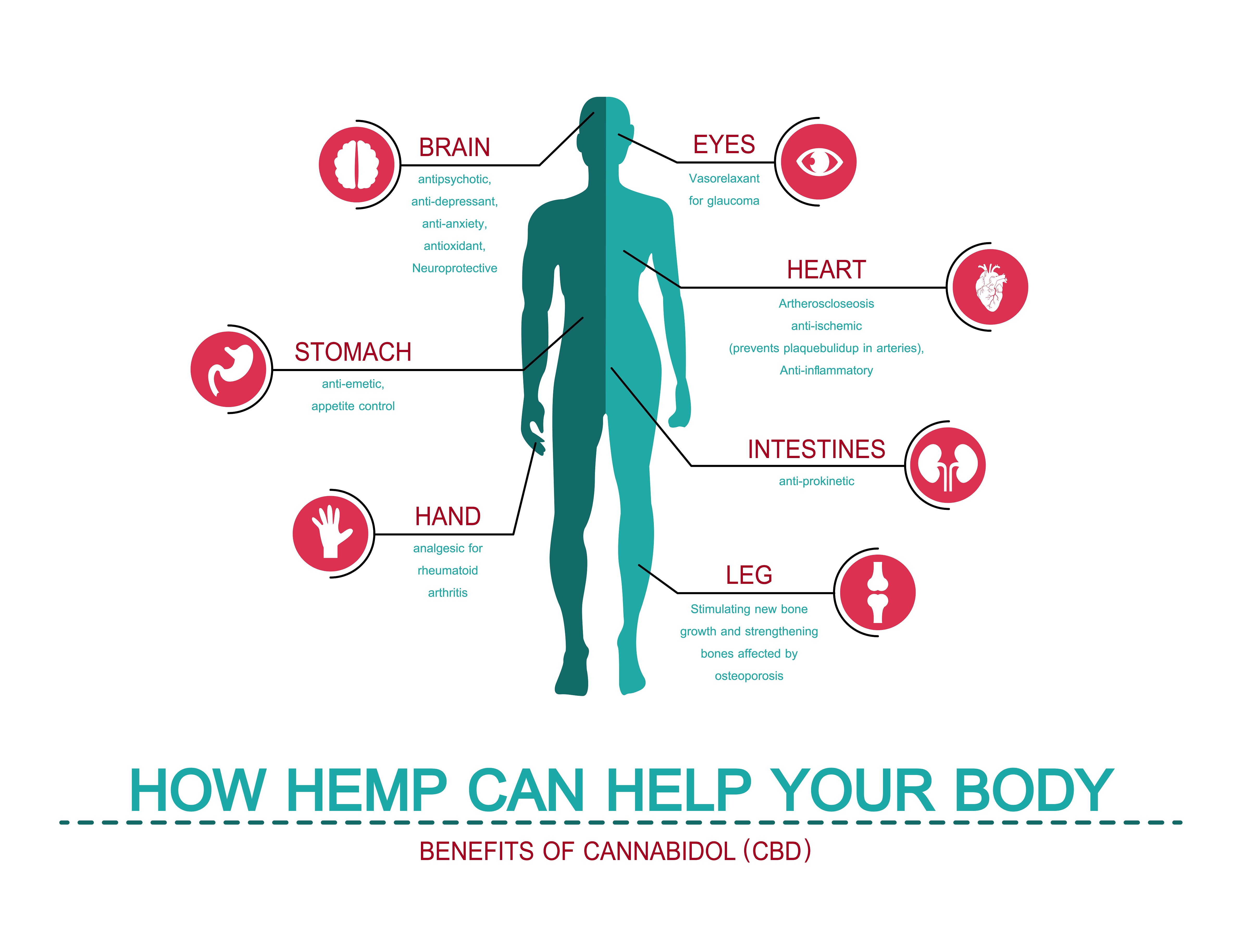 CBD benefits - infographic