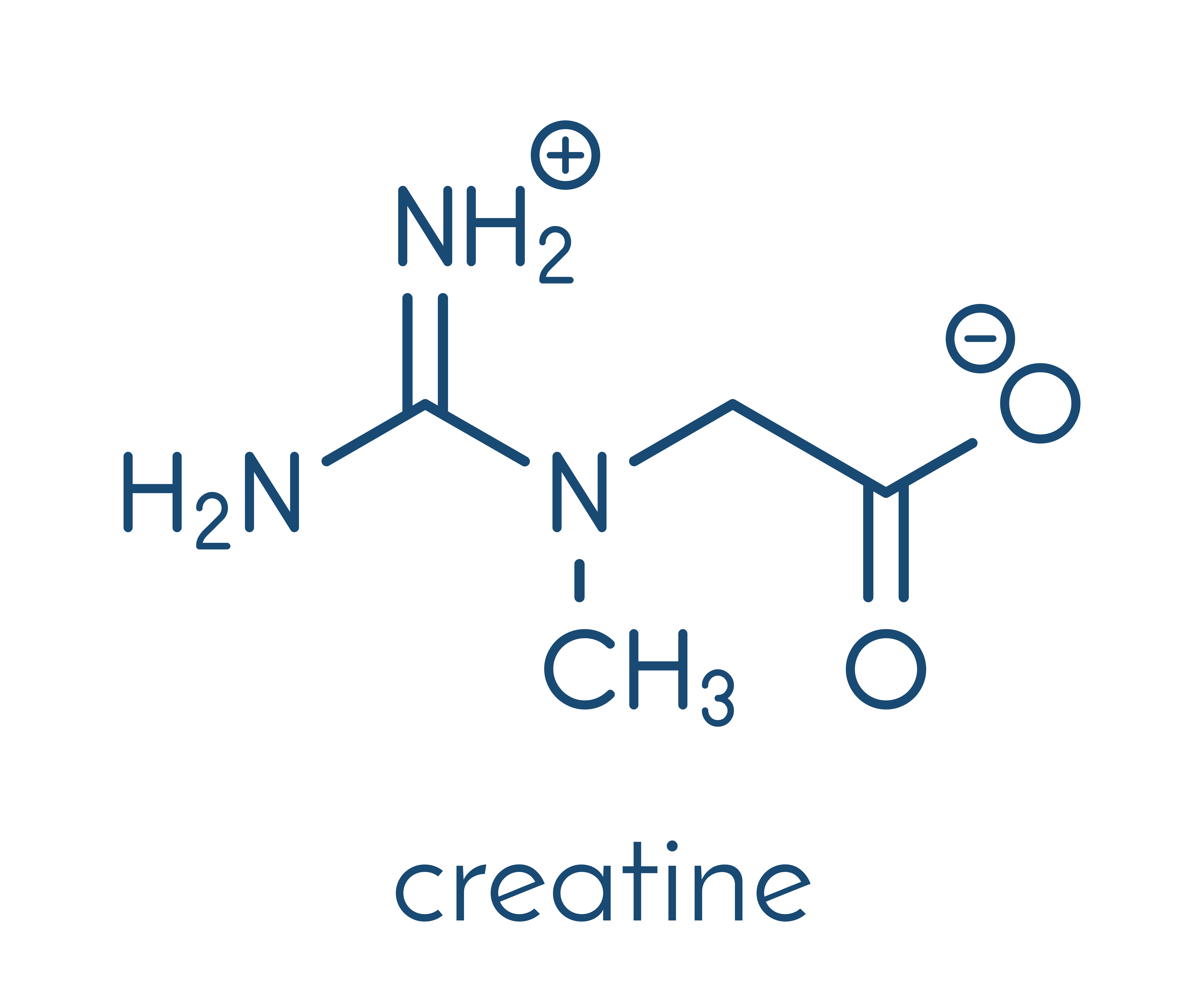 Creatine - chemical formula
