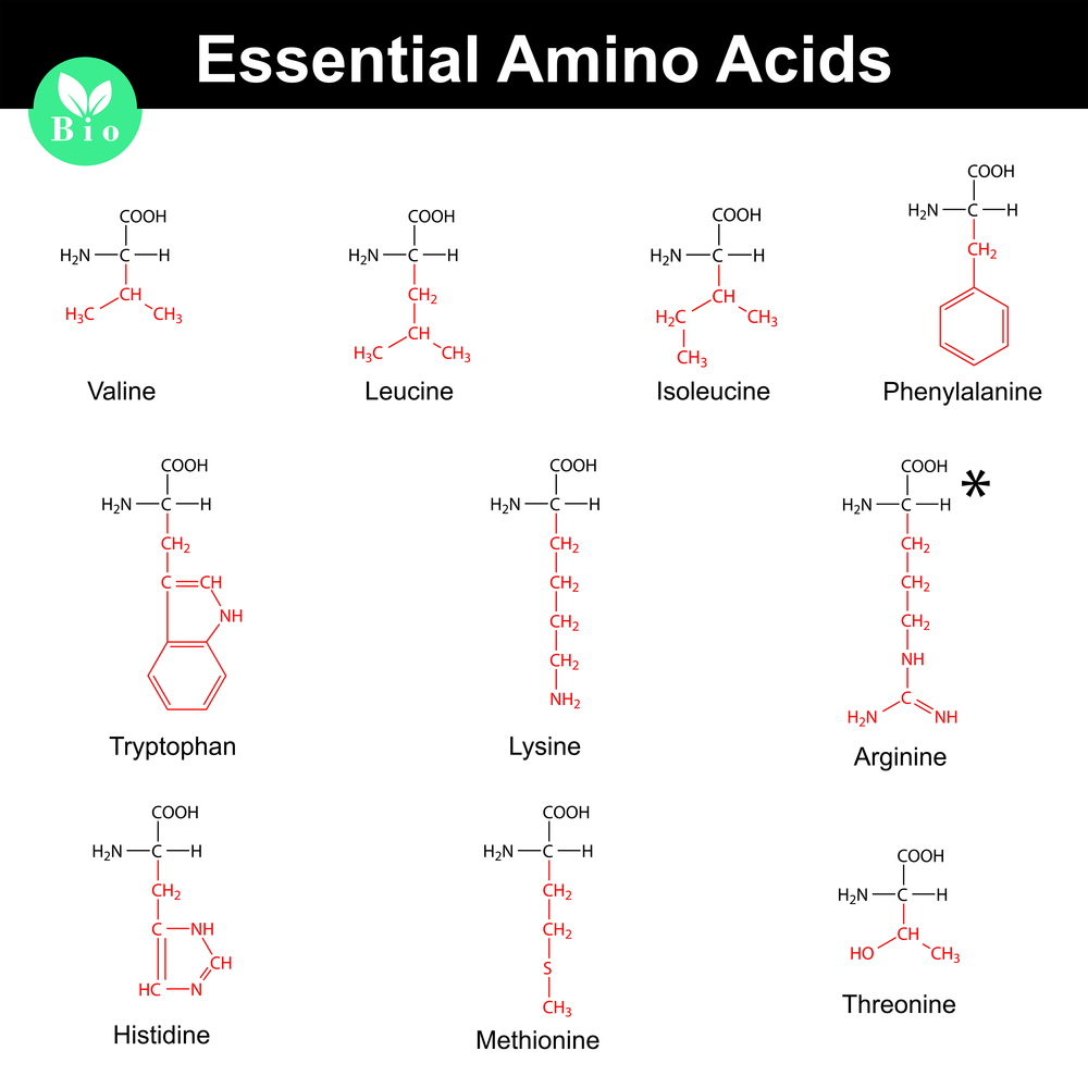 Essential Amino Acids