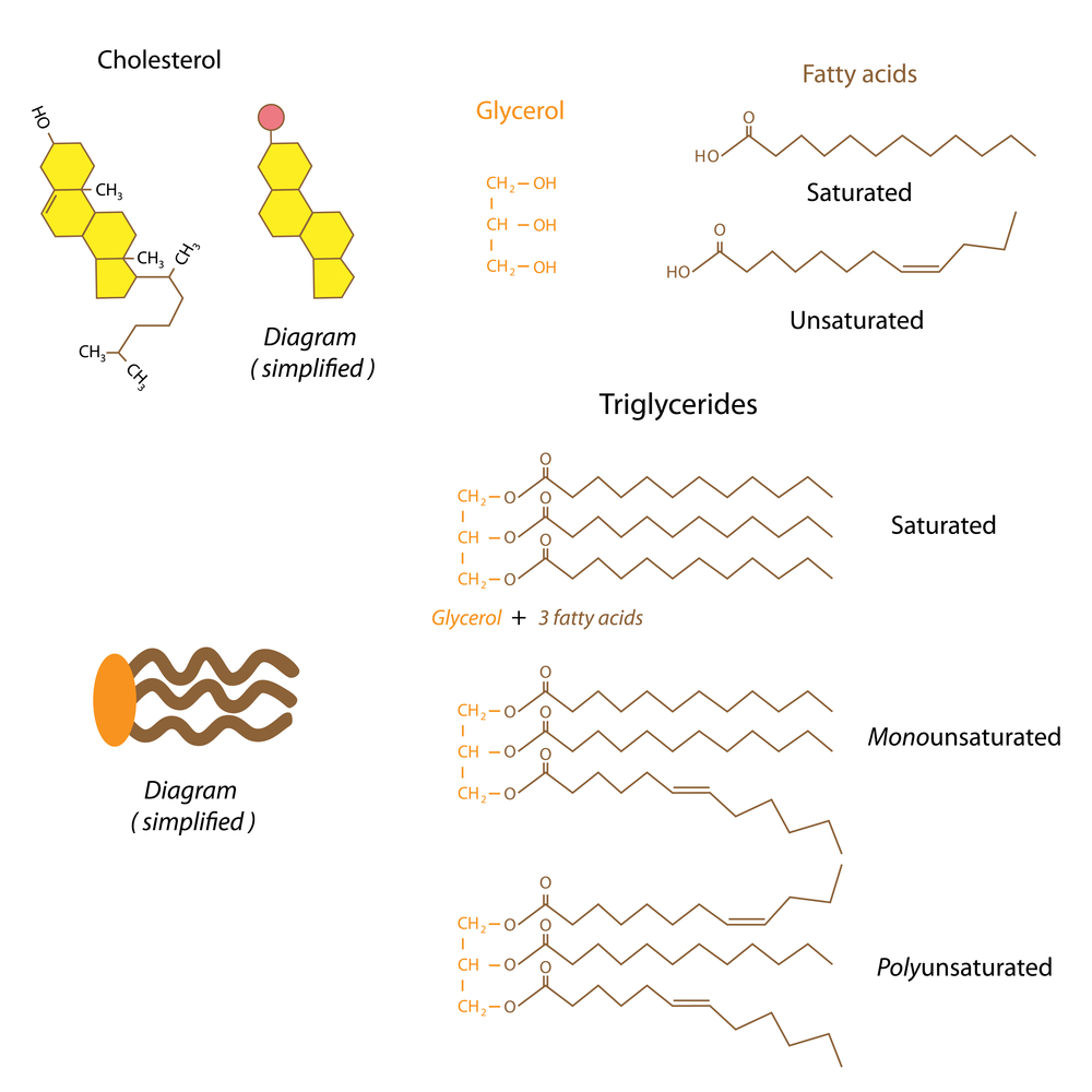 How does structure of fats look like? And how they can be grouped?