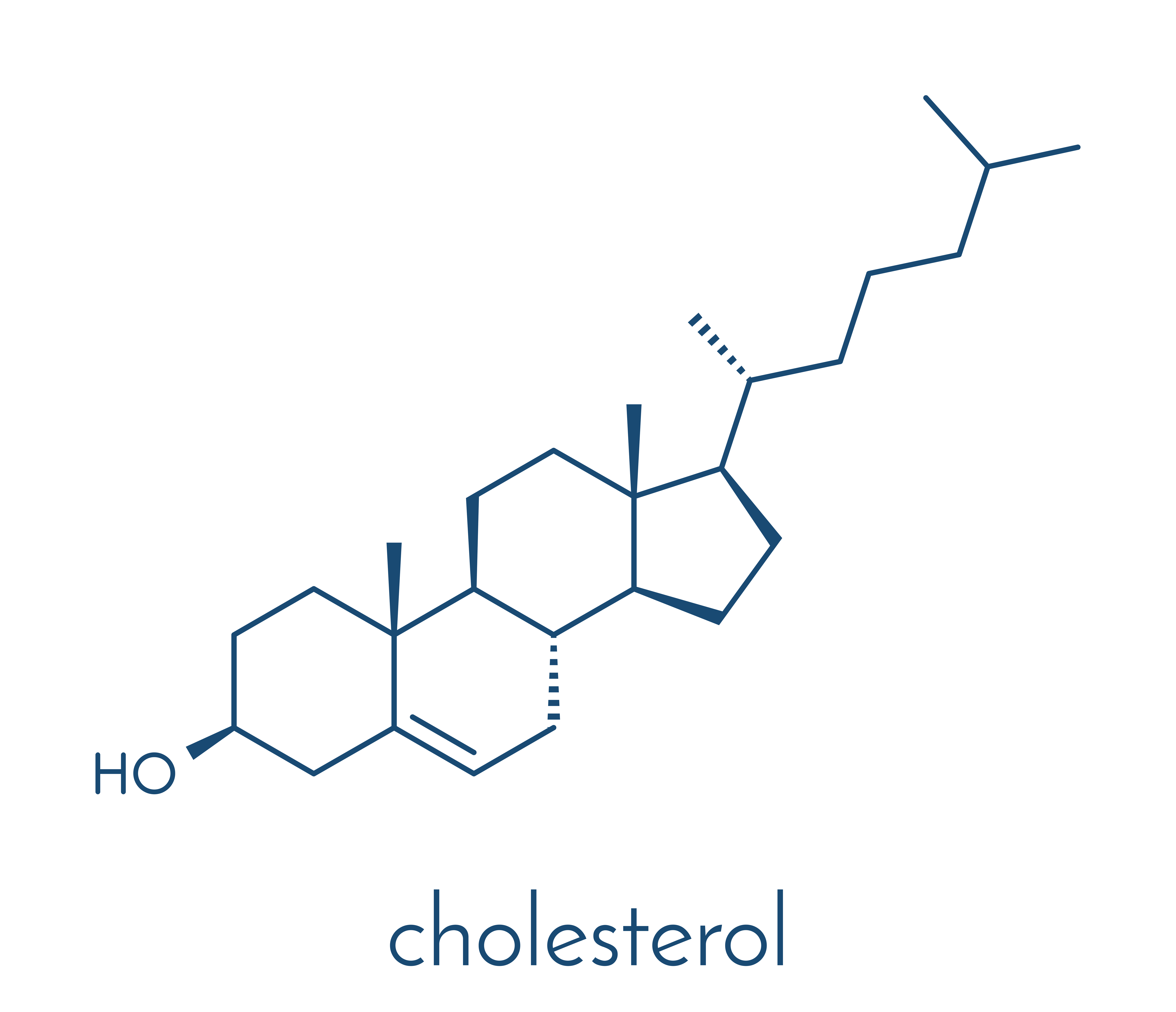 Cholesterol - chemical structure