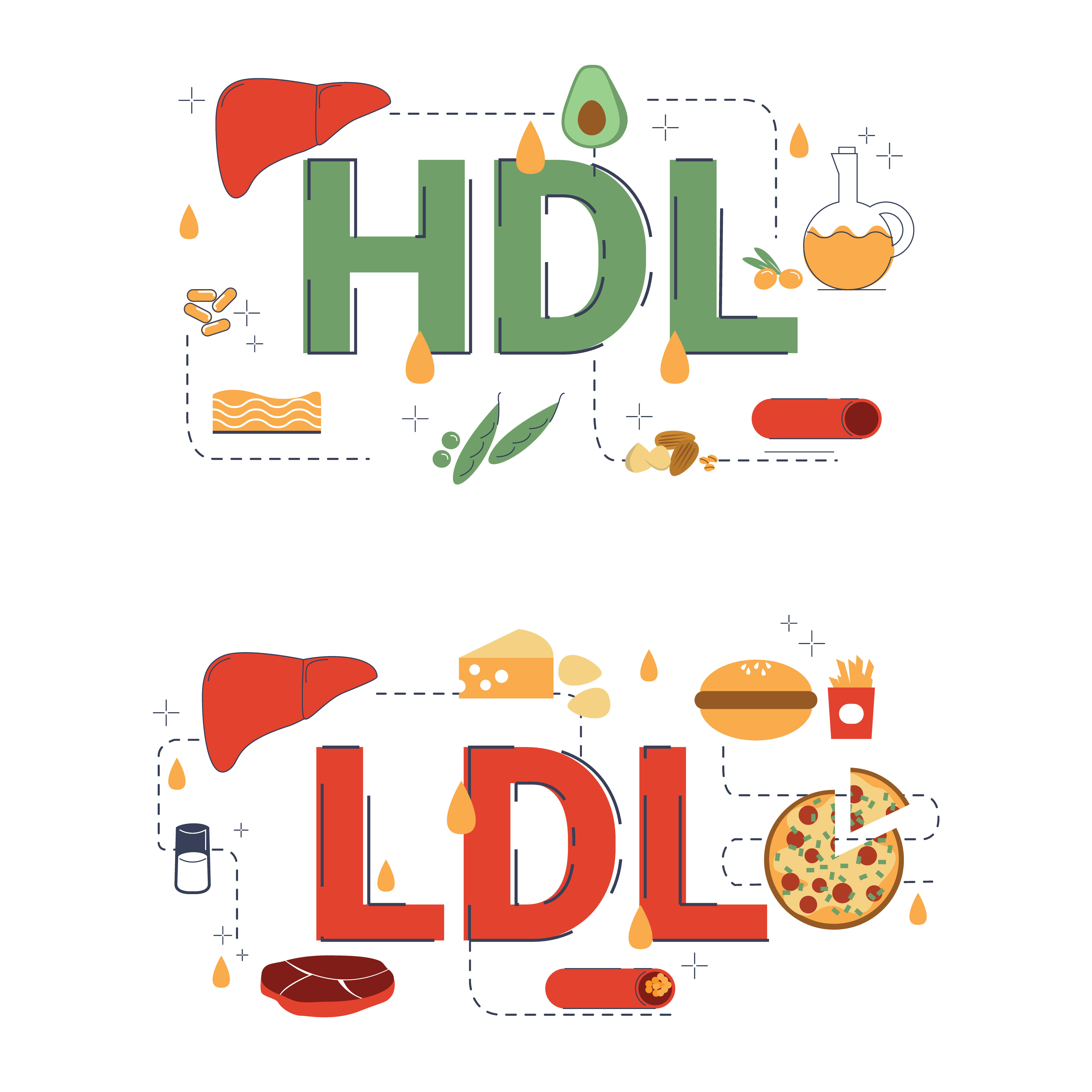 Which products increase HDL level, and which products increase LDL level?