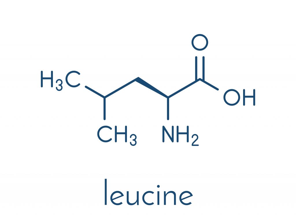 Leucin