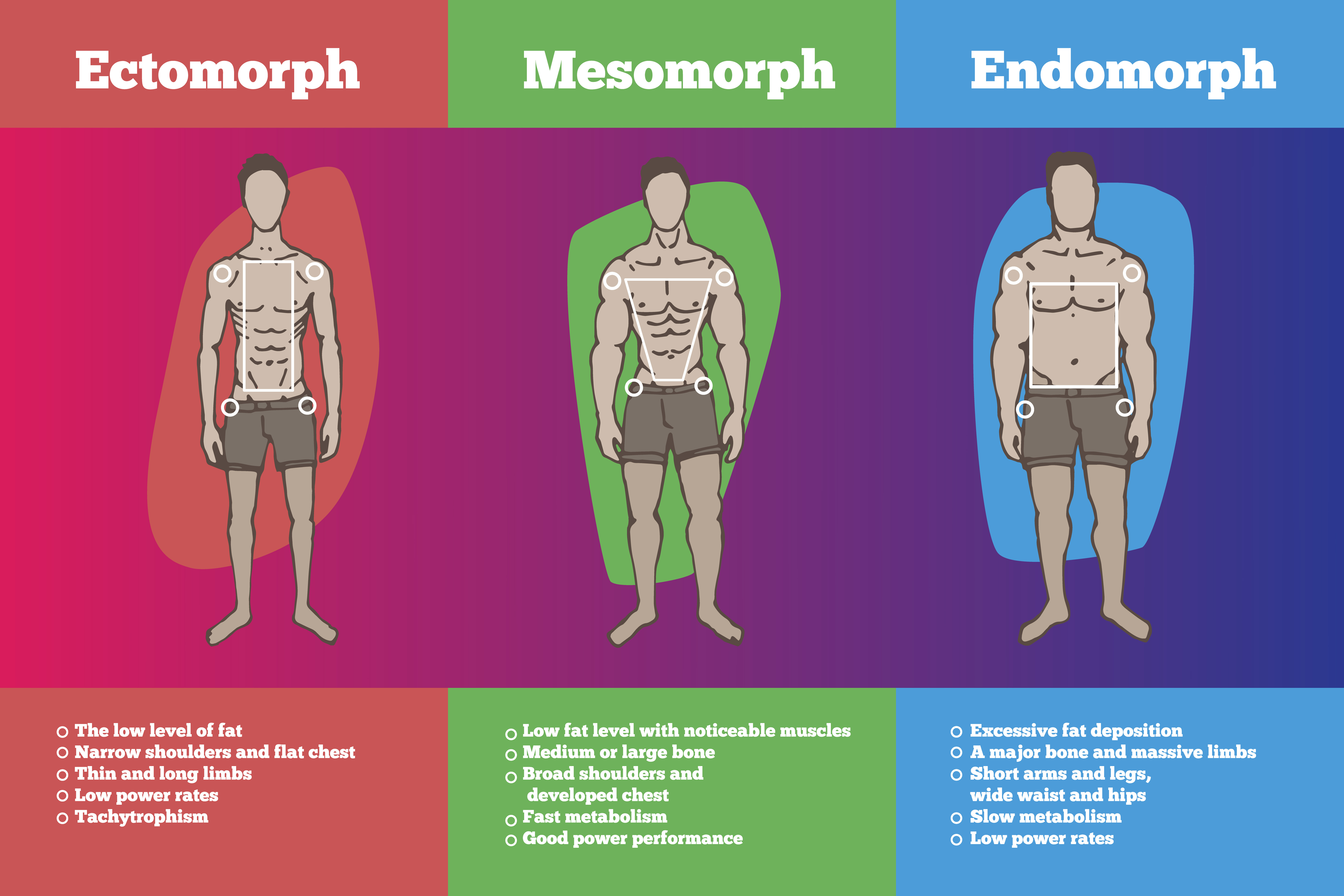 Three basics somatotypes. Which one is yours?