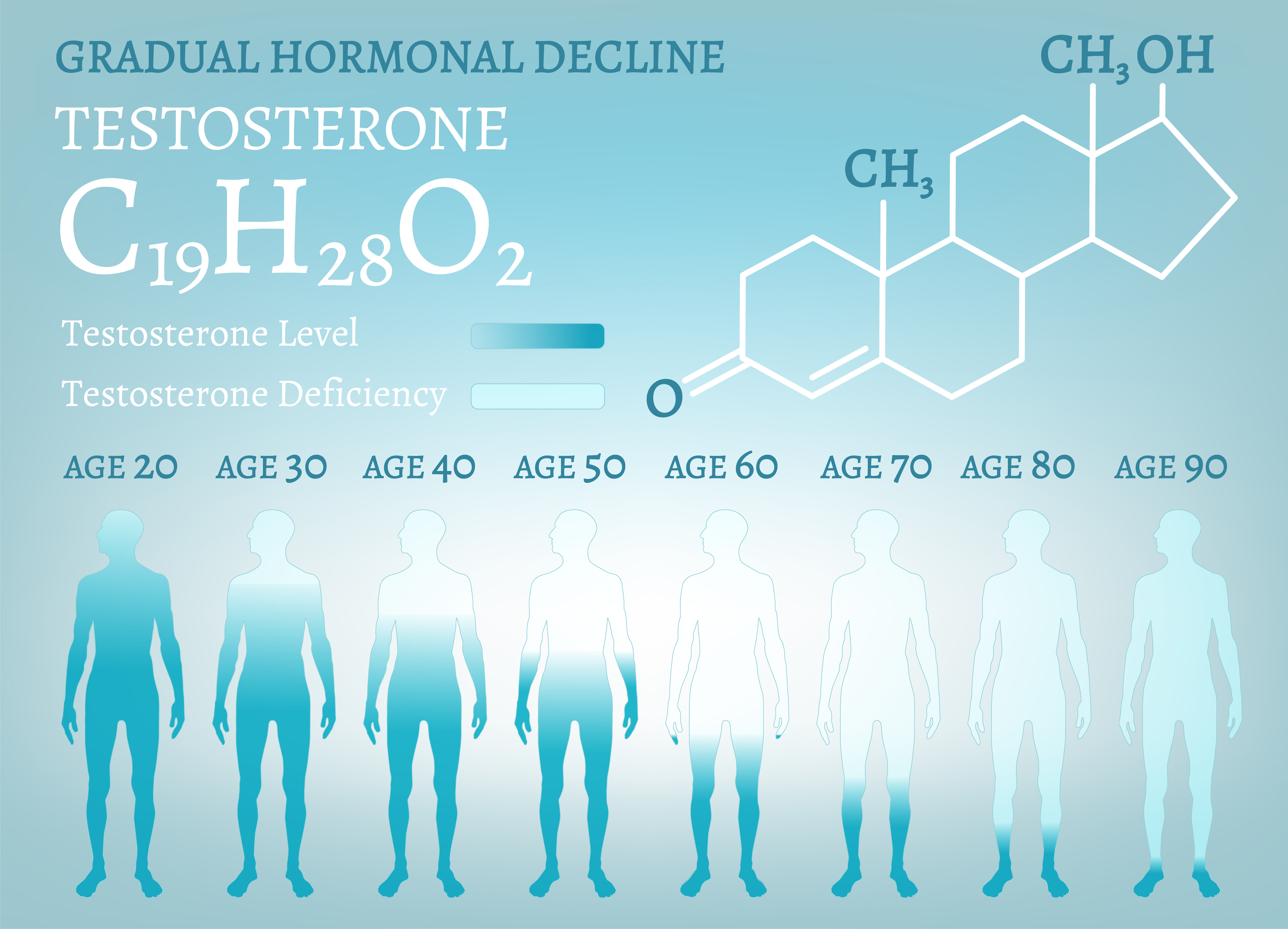 Testosterone level decreases with age.