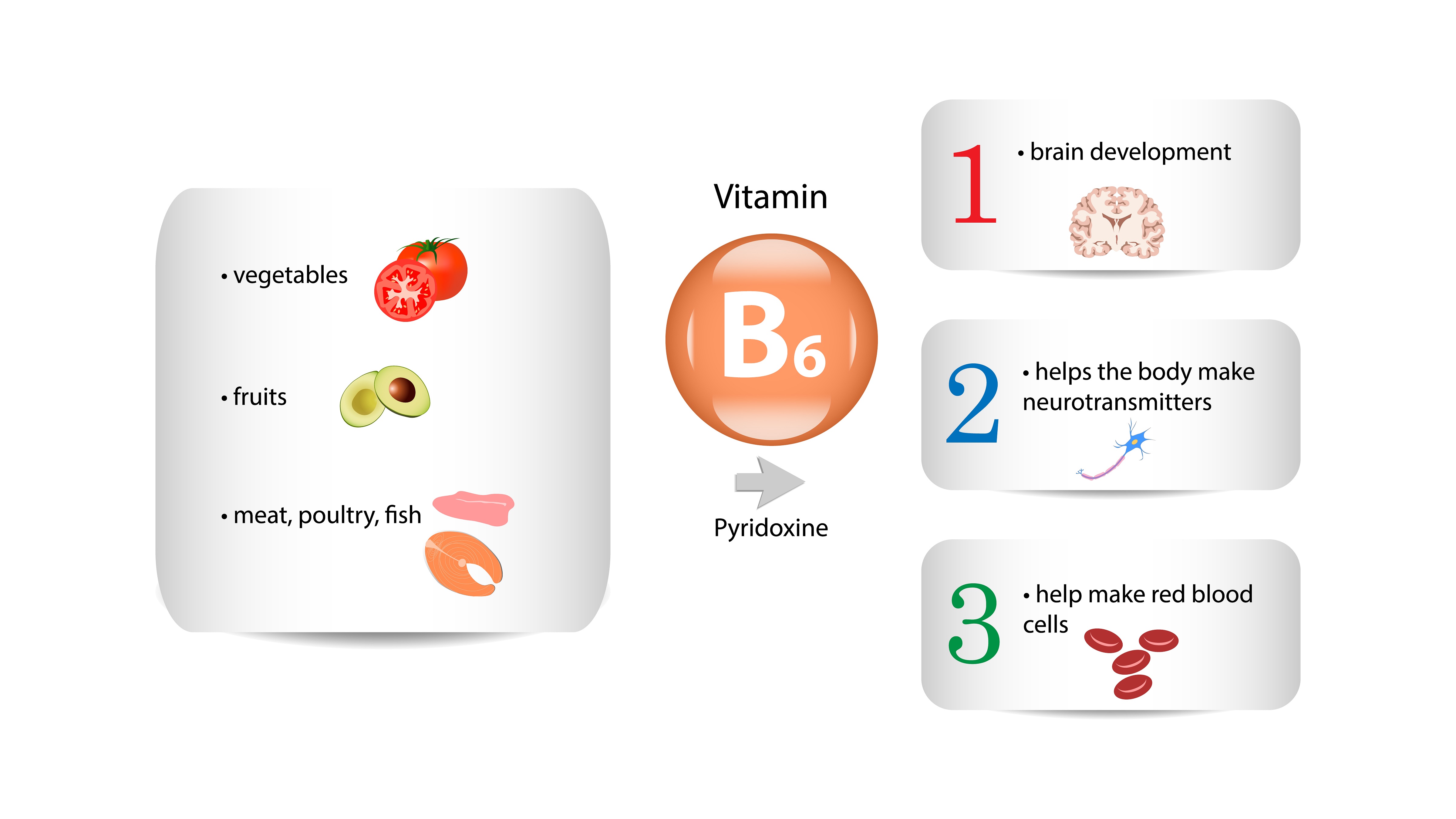 Vitamin B6 - sources and actions