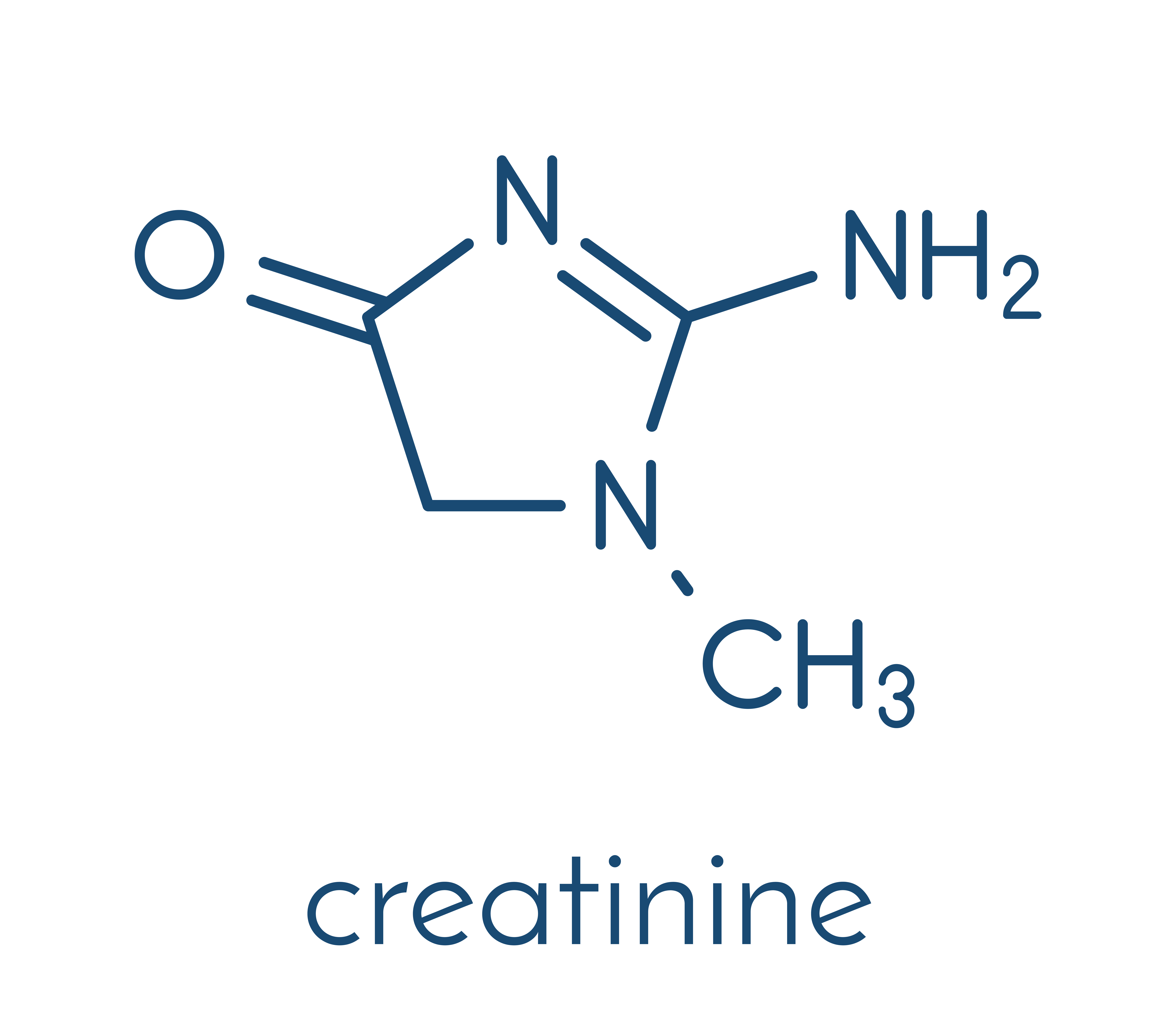 Creatinine - creatine metabolite