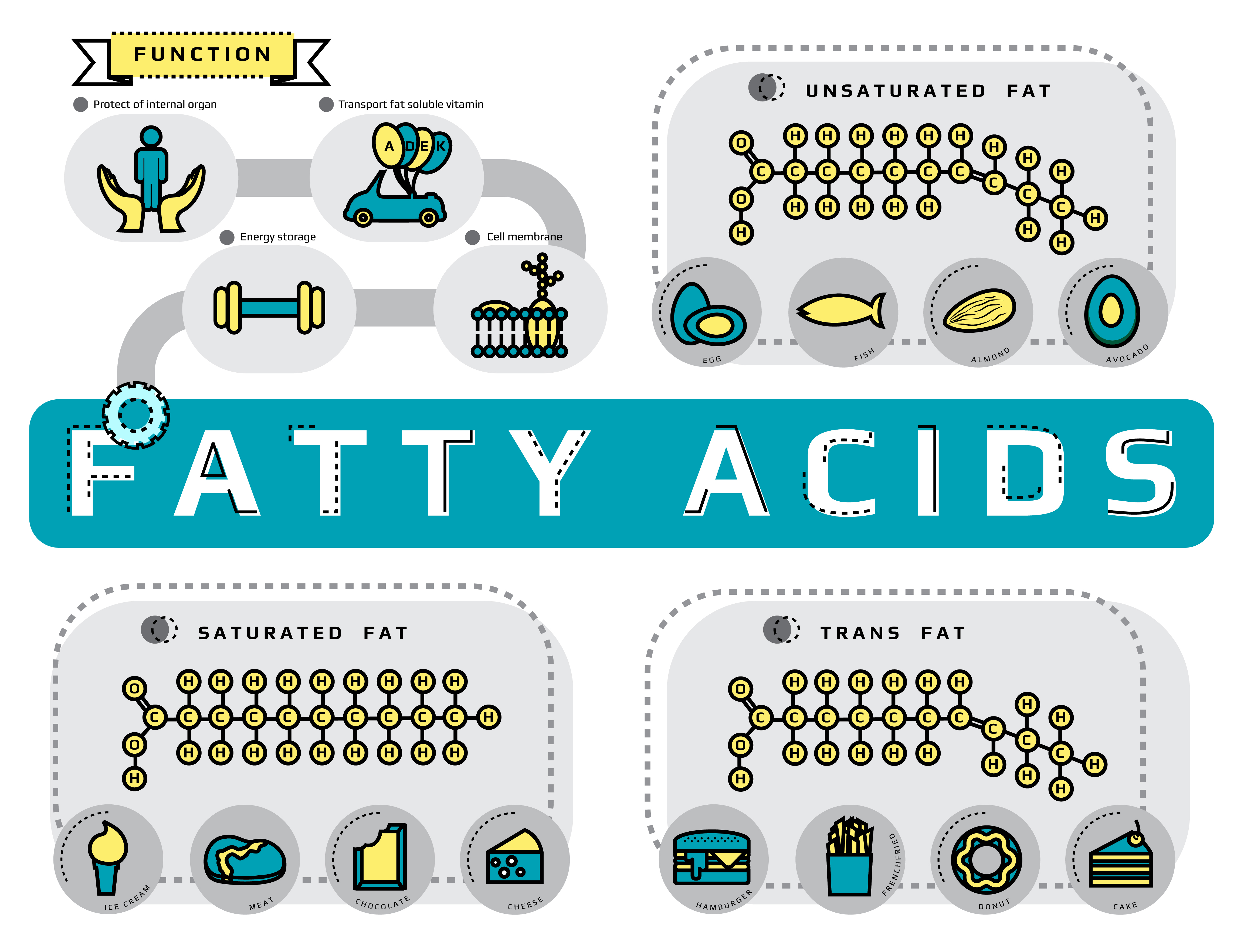 Types of fatty acids - infographic