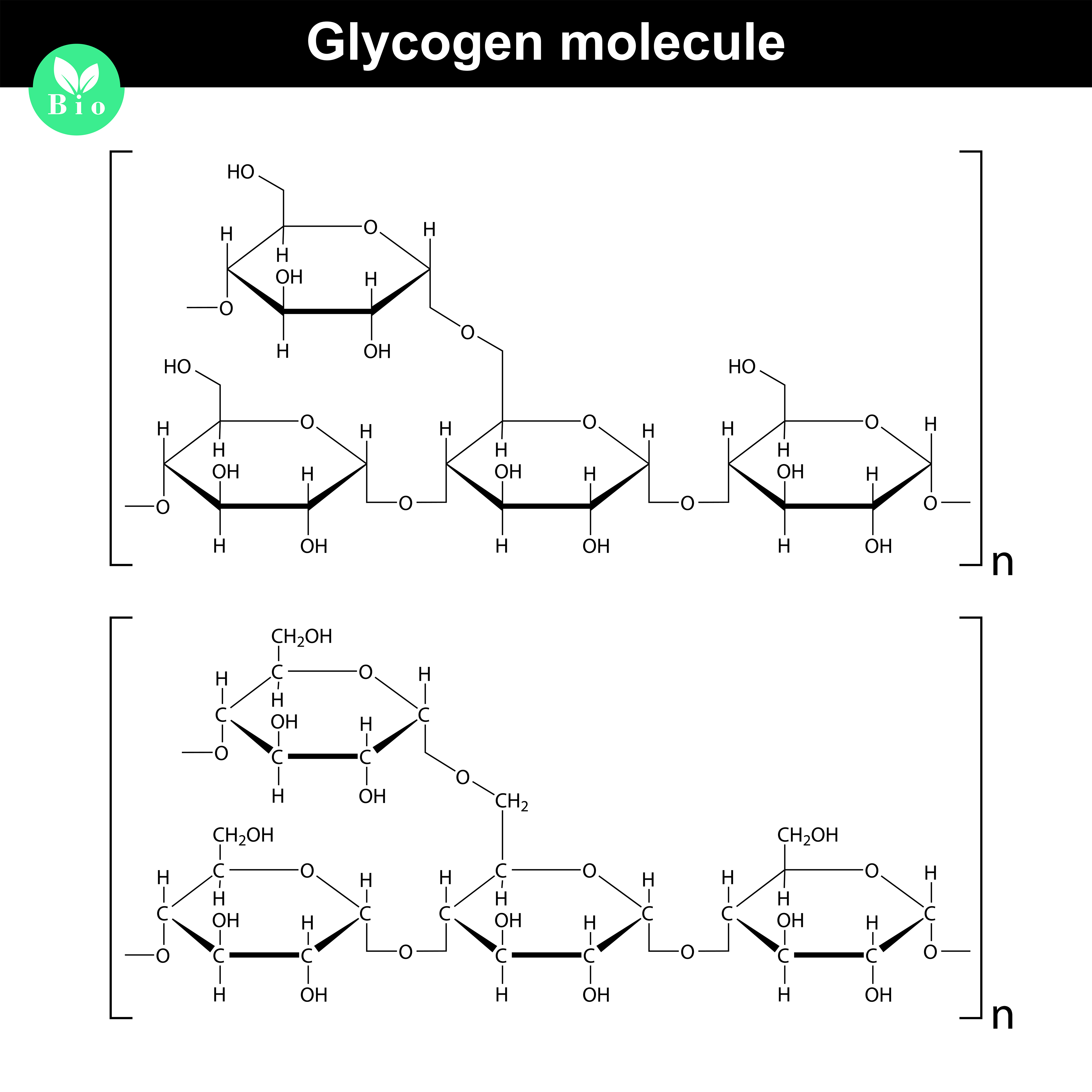 Glycogen is an molecule created with a high number of glucose molecules.