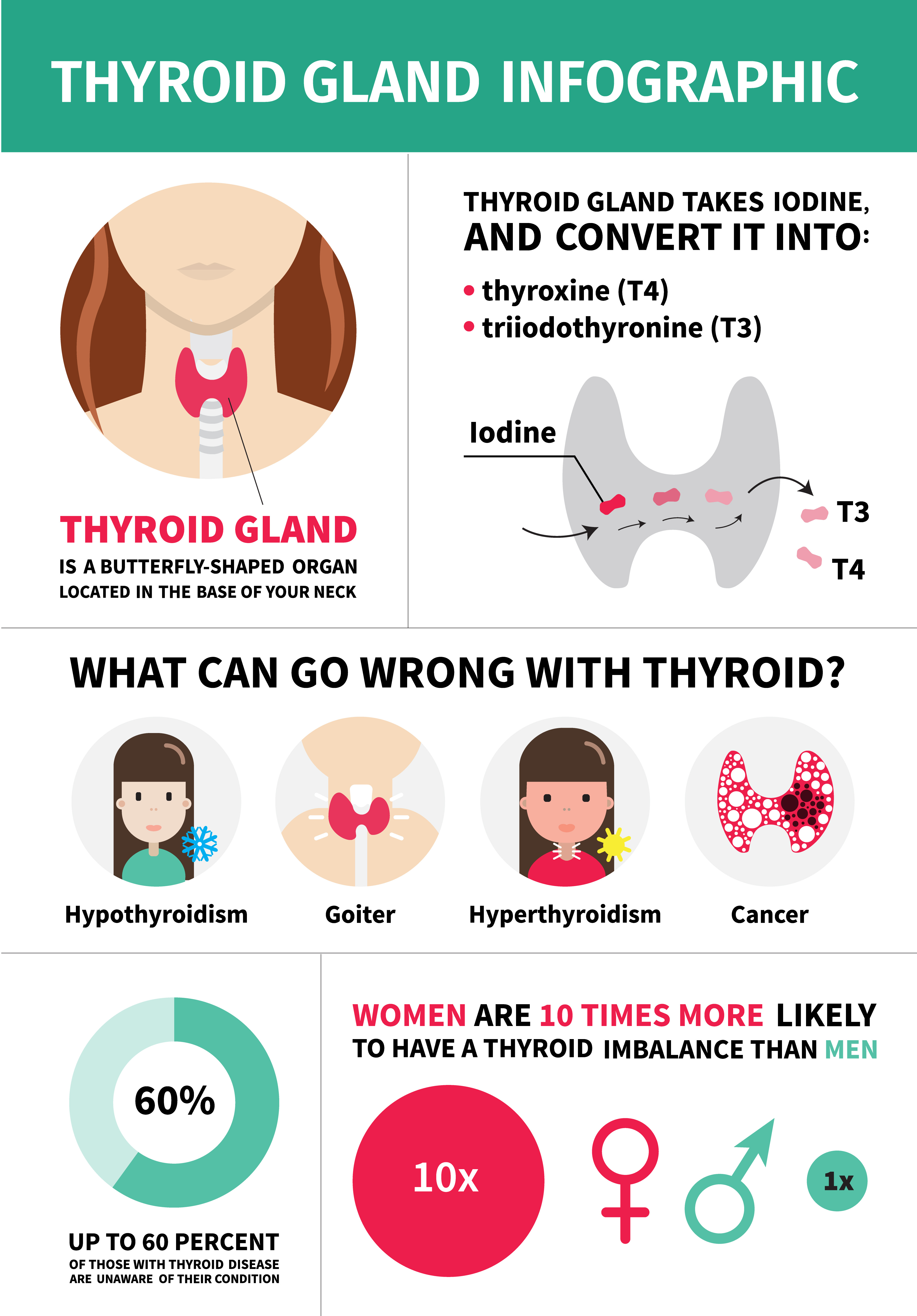 Iodine deficency mainly affects thyroid gland