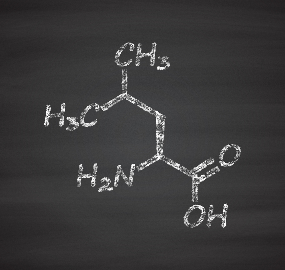 Leucine - the most important amino acid in BCAA formulation